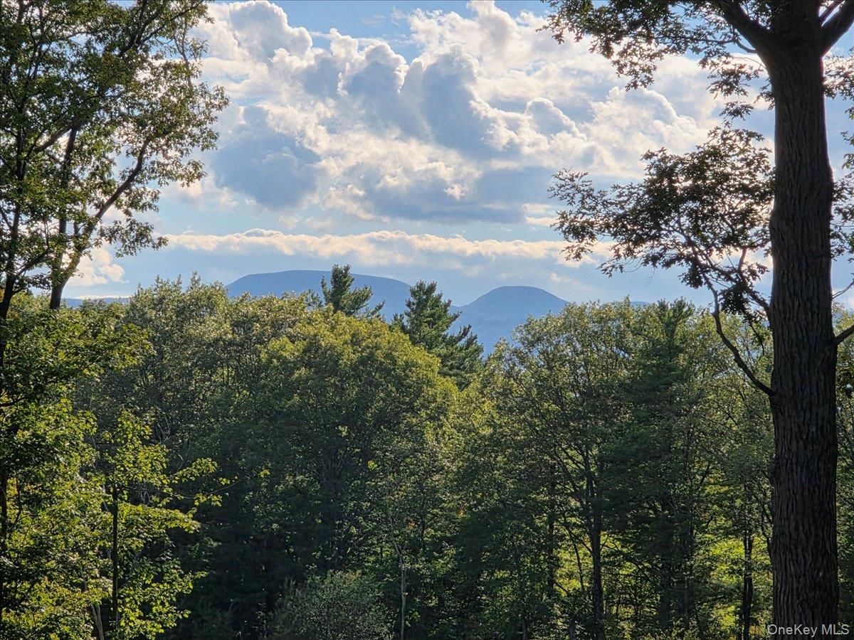 #3 photo, 1927 County Route 67, Cairo , NY 12413