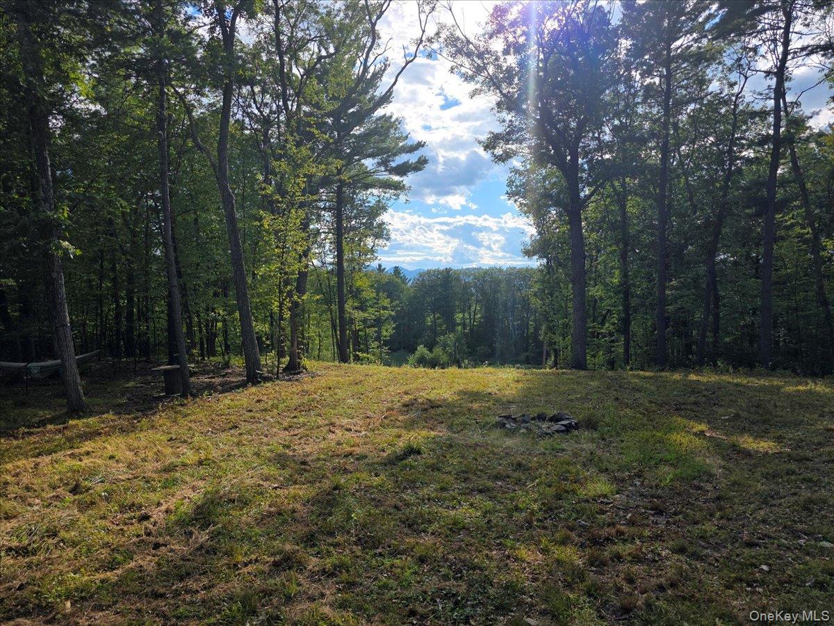 #6 photo, 1927 County Route 67, Cairo , NY 12413