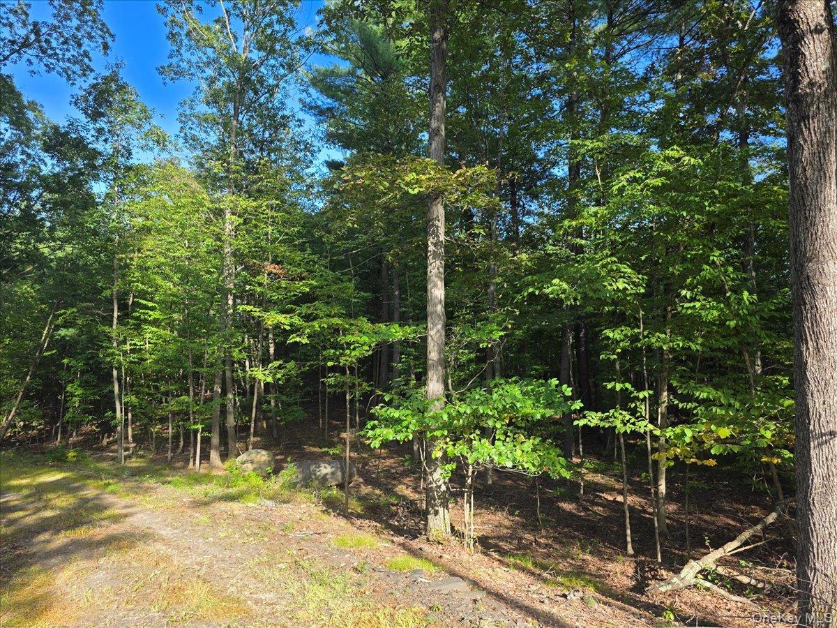 #7 photo, 1927 County Route 67, Cairo , NY 12413