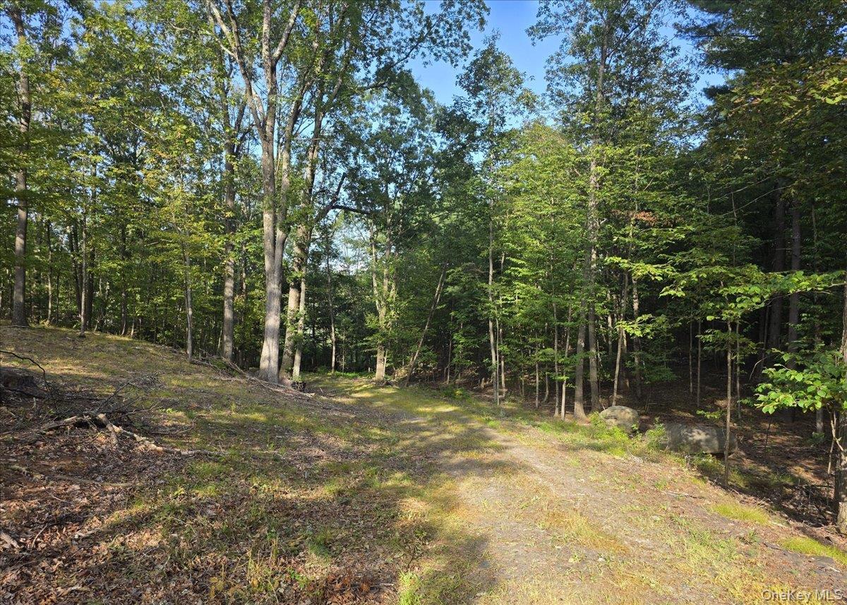 #8 photo, 1927 County Route 67, Cairo , NY 12413