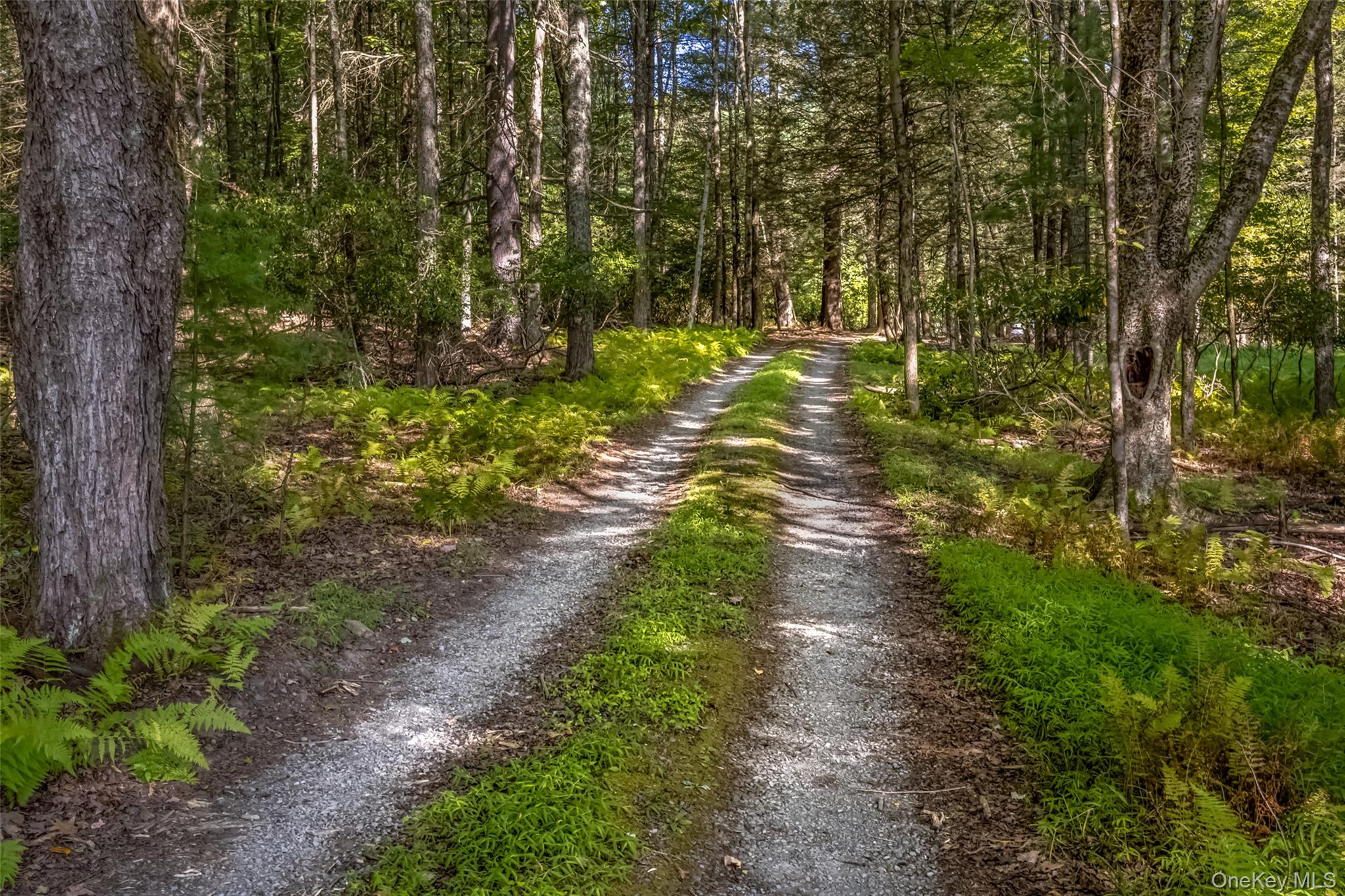 #2 photo, 101 Lackawack Hill Road, Napanoch , NY 12458