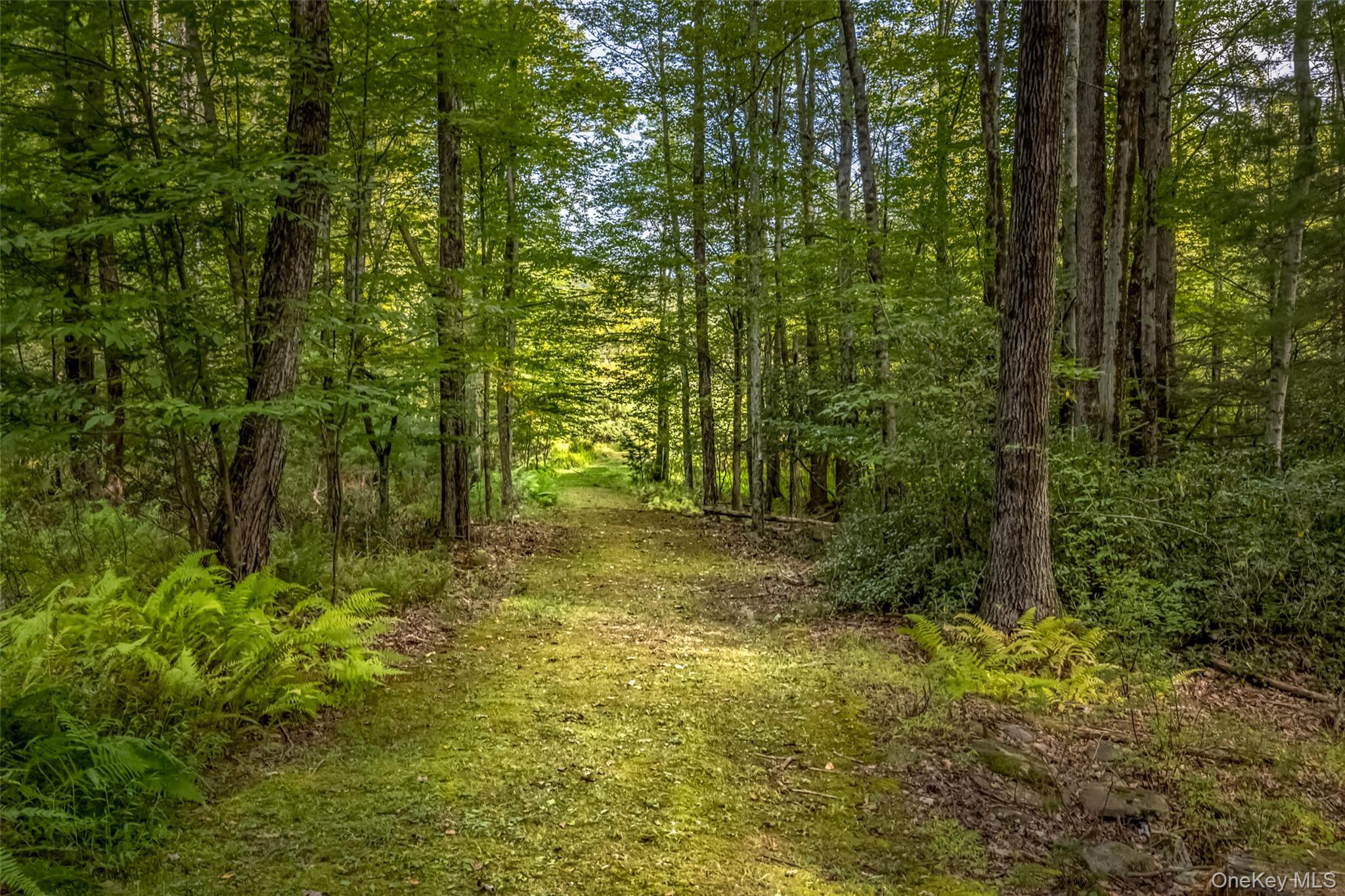 #5 photo, 101 Lackawack Hill Road, Napanoch , NY 12458