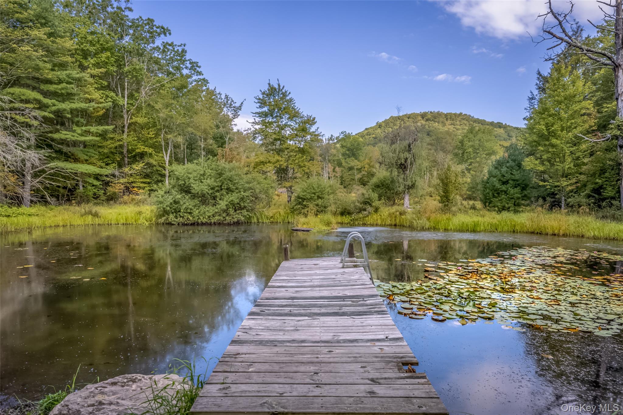 #6 photo, 101 Lackawack Hill Road, Napanoch , NY 12458