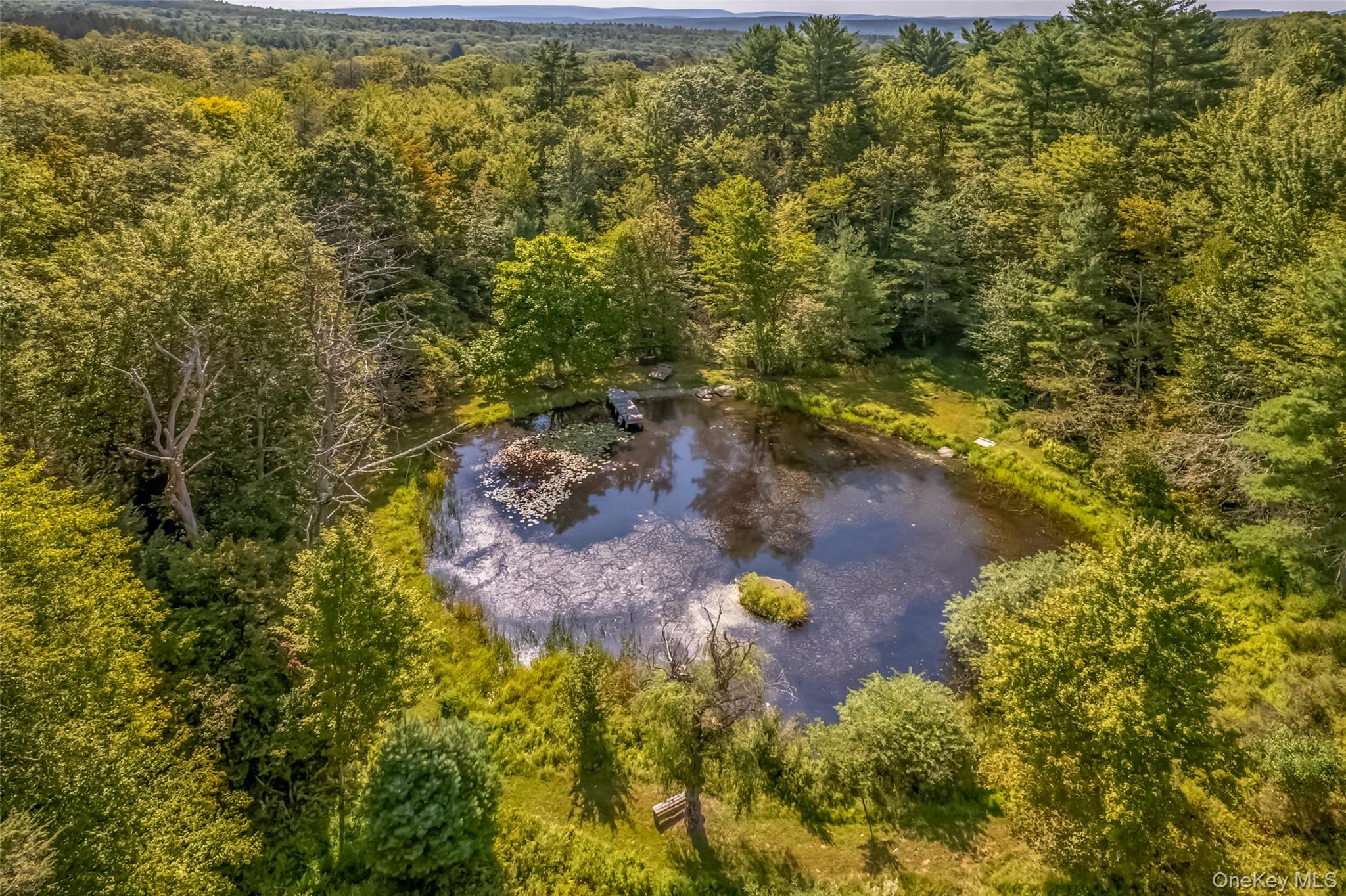 #8 photo, 101 Lackawack Hill Road, Napanoch , NY 12458