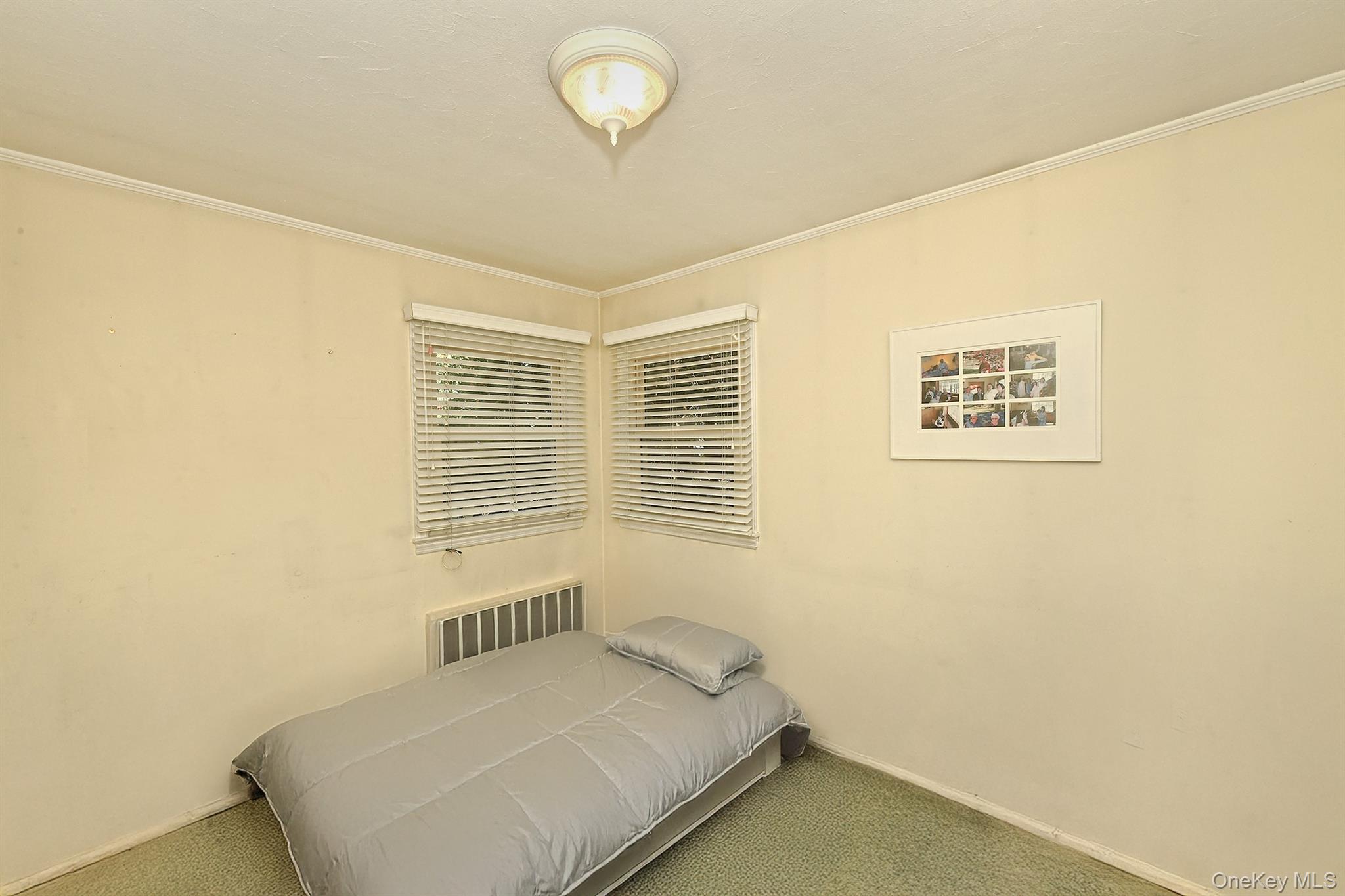 #19 photo, 1483 Crown Street, ナッソー郡 Wantagh , NY 11793