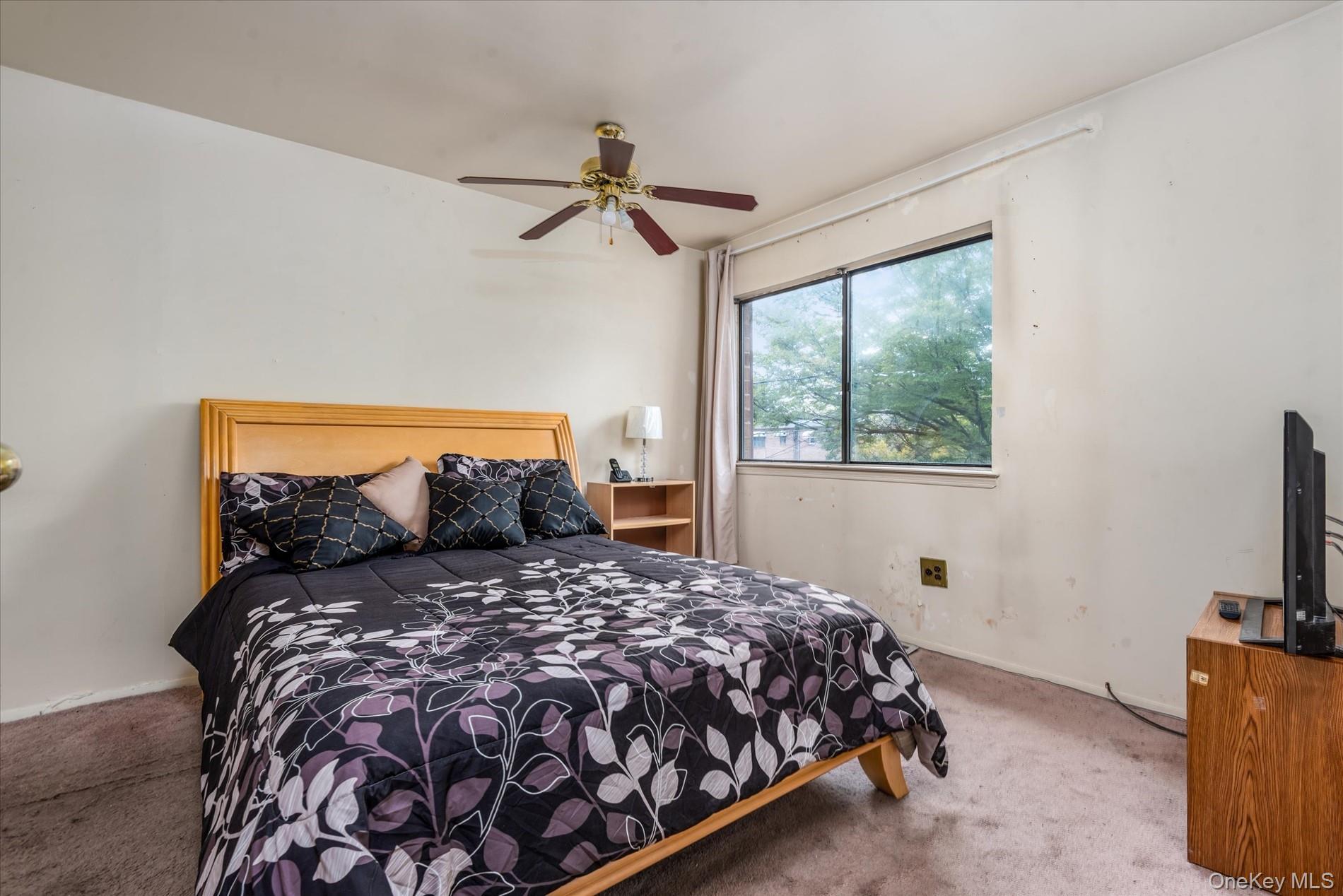 #14 photo, 563 Powell Street, Brooklyn , NY 11212