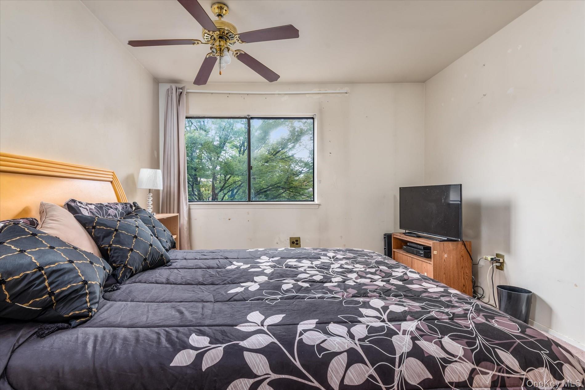 #15 photo, 563 Powell Street, Brooklyn , NY 11212