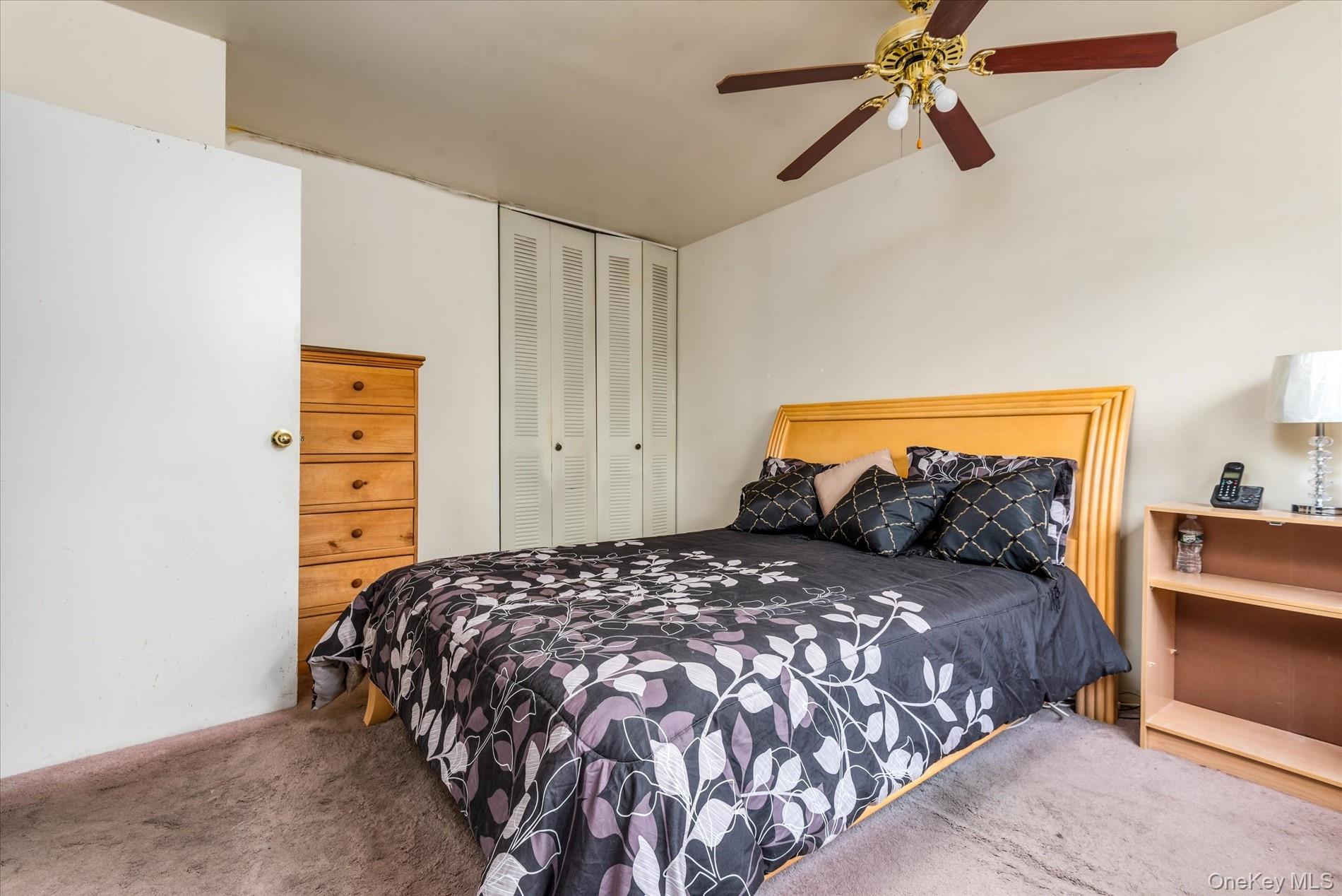 #16 photo, 563 Powell Street, Brooklyn , NY 11212