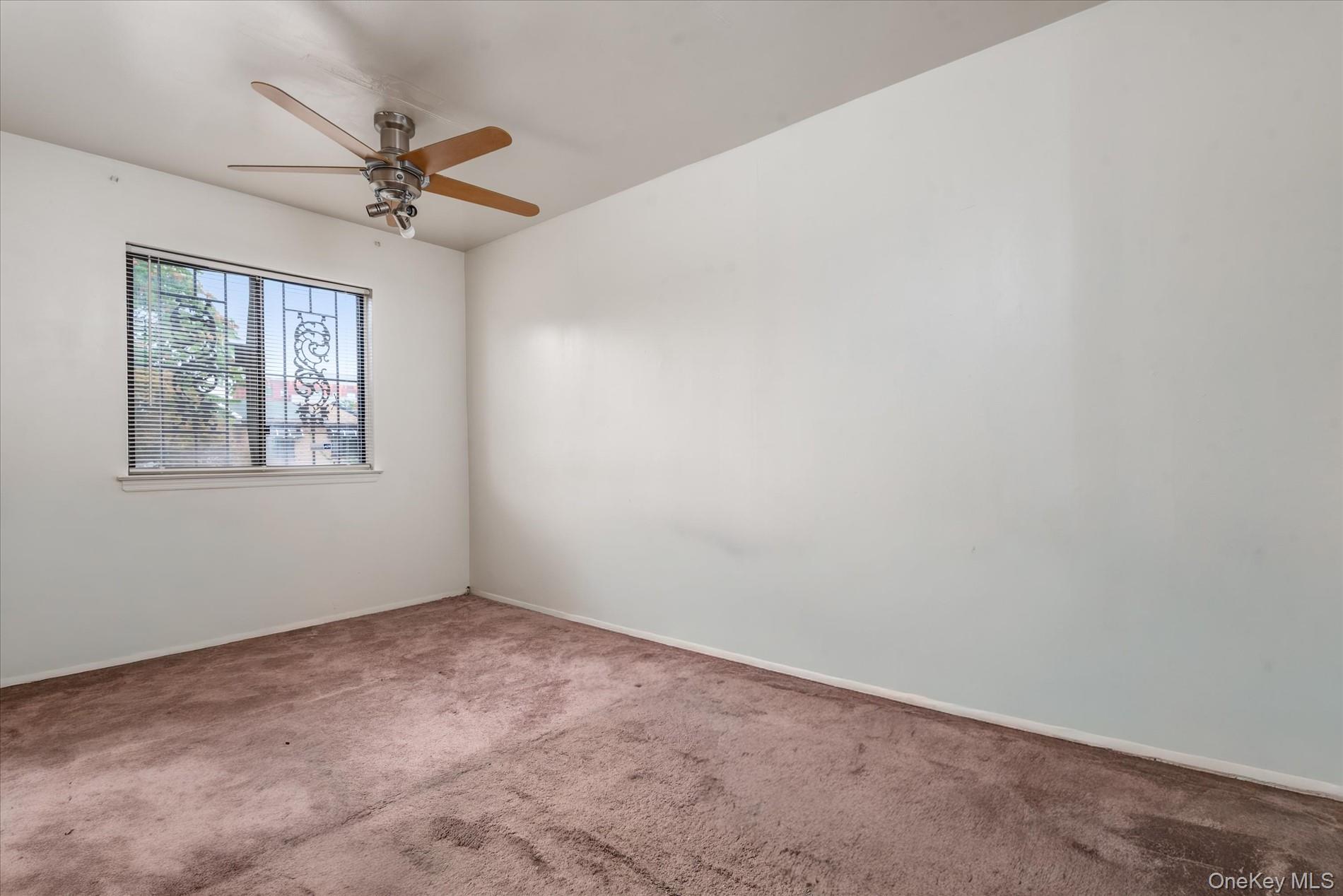 #18 photo, 563 Powell Street, Brooklyn , NY 11212