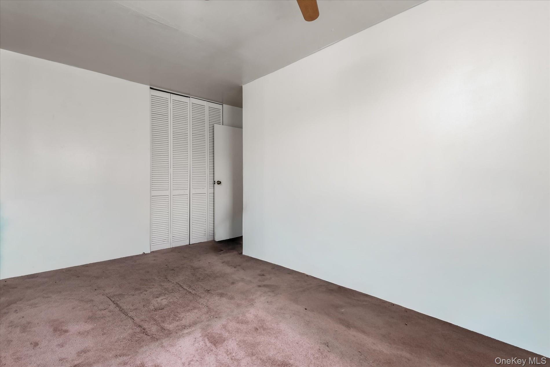 #20 photo, 563 Powell Street, Brooklyn , NY 11212