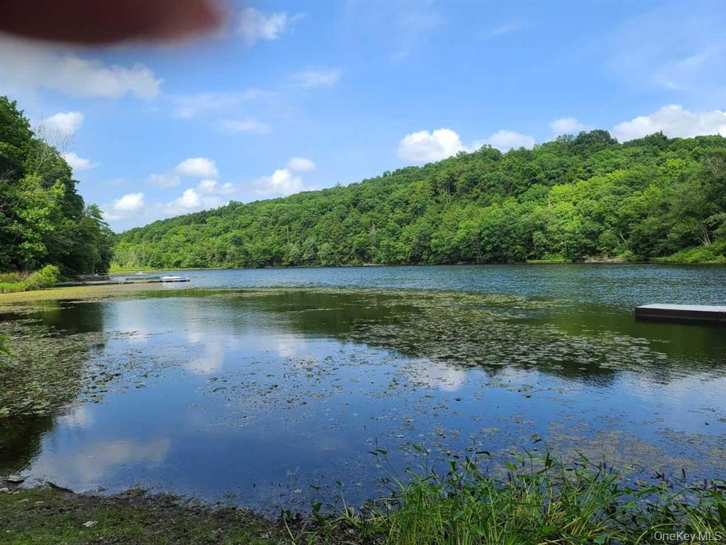 #3 photo, 956 Route 308, Rhinebeck , NY 12572