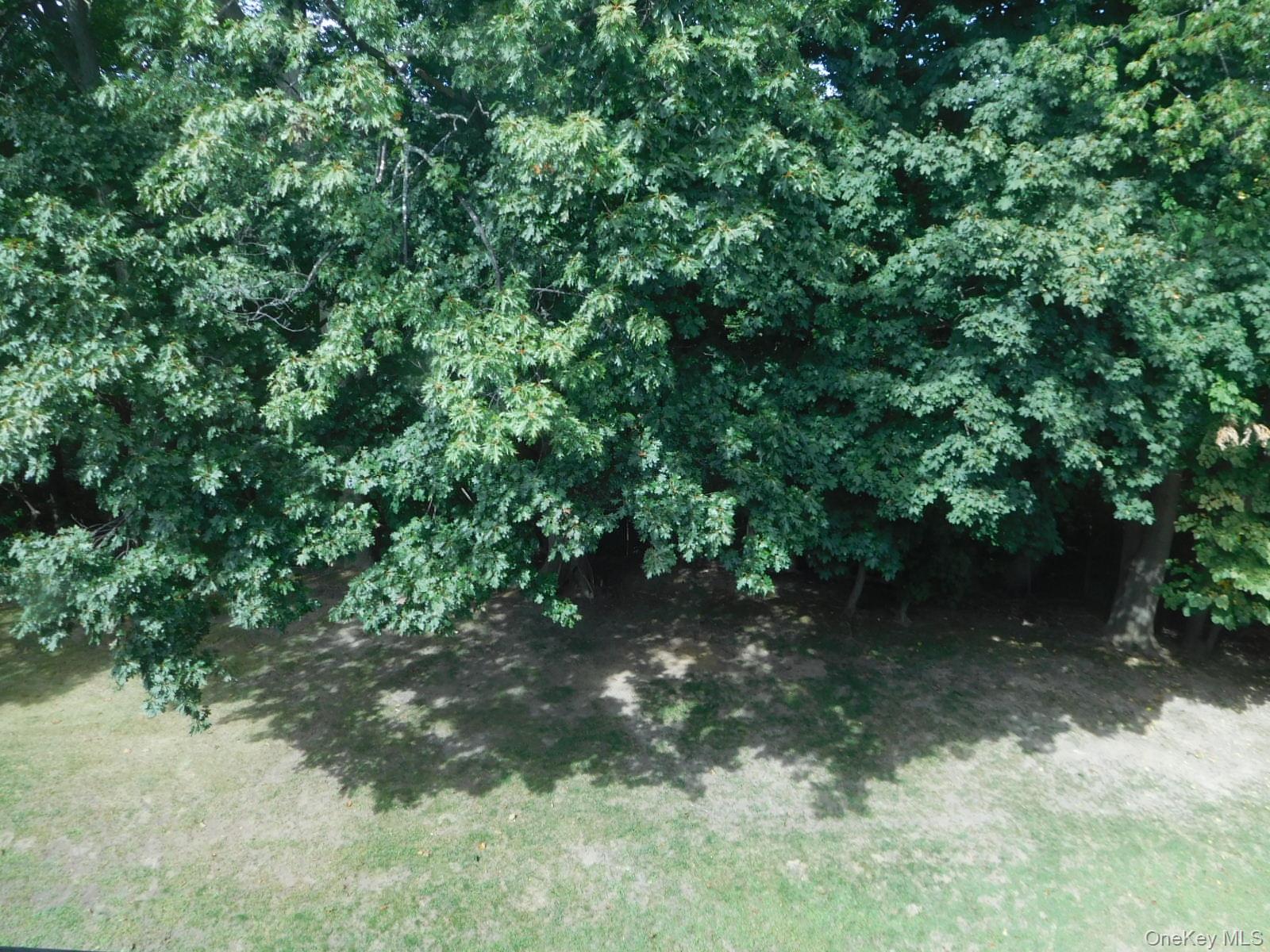 #9 photo, 3 Consulate Drive, Tuckahoe , NY 10707