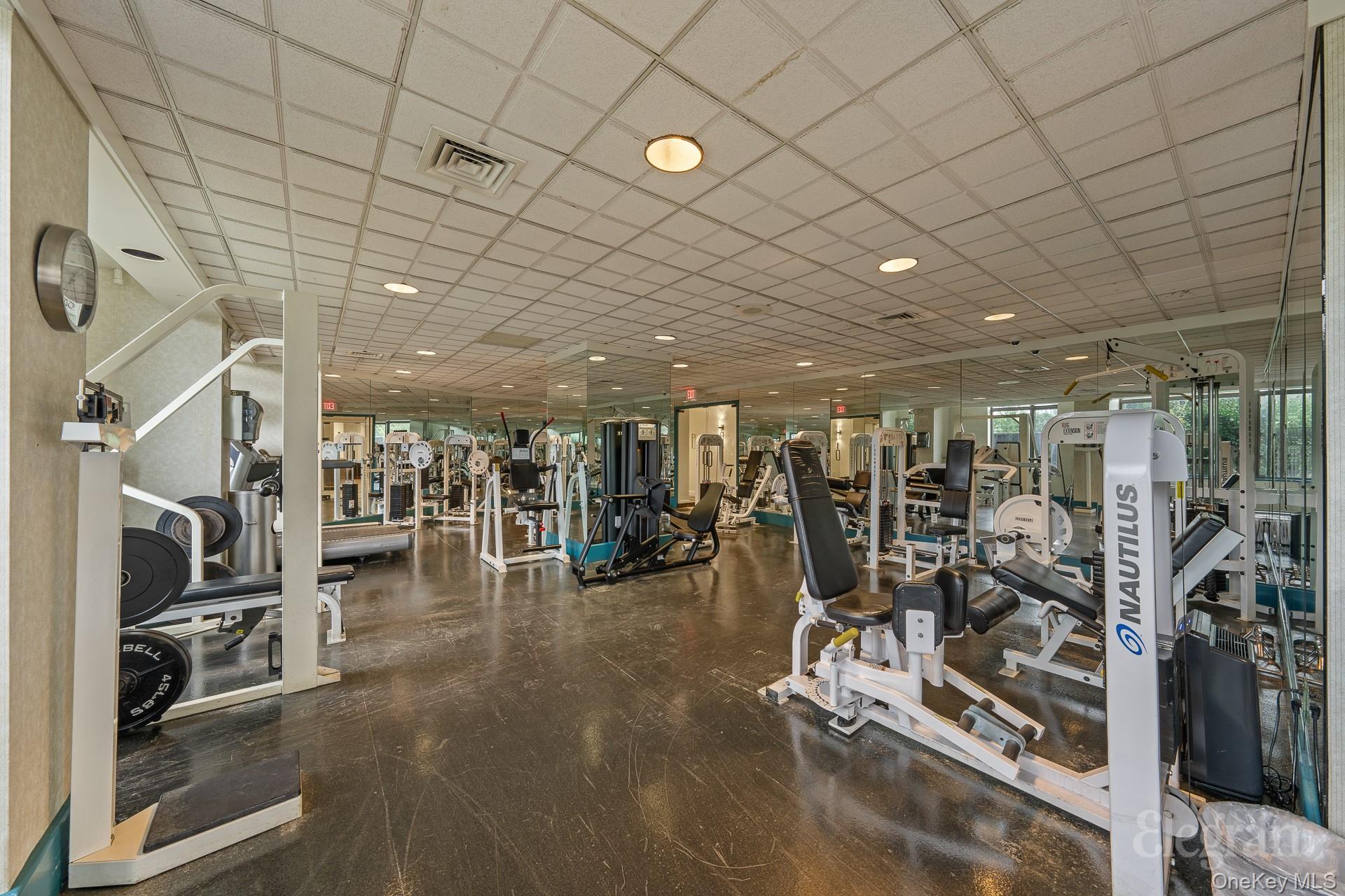 #20 photo, 11201 Queens Boulevard, クイーンズ区 Forest Hills , NY 11375