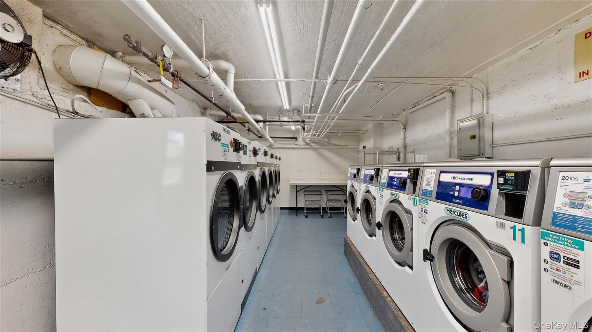 #17 photo, 52-21 39th Road, クイーンズ区 Woodside , NY 11377