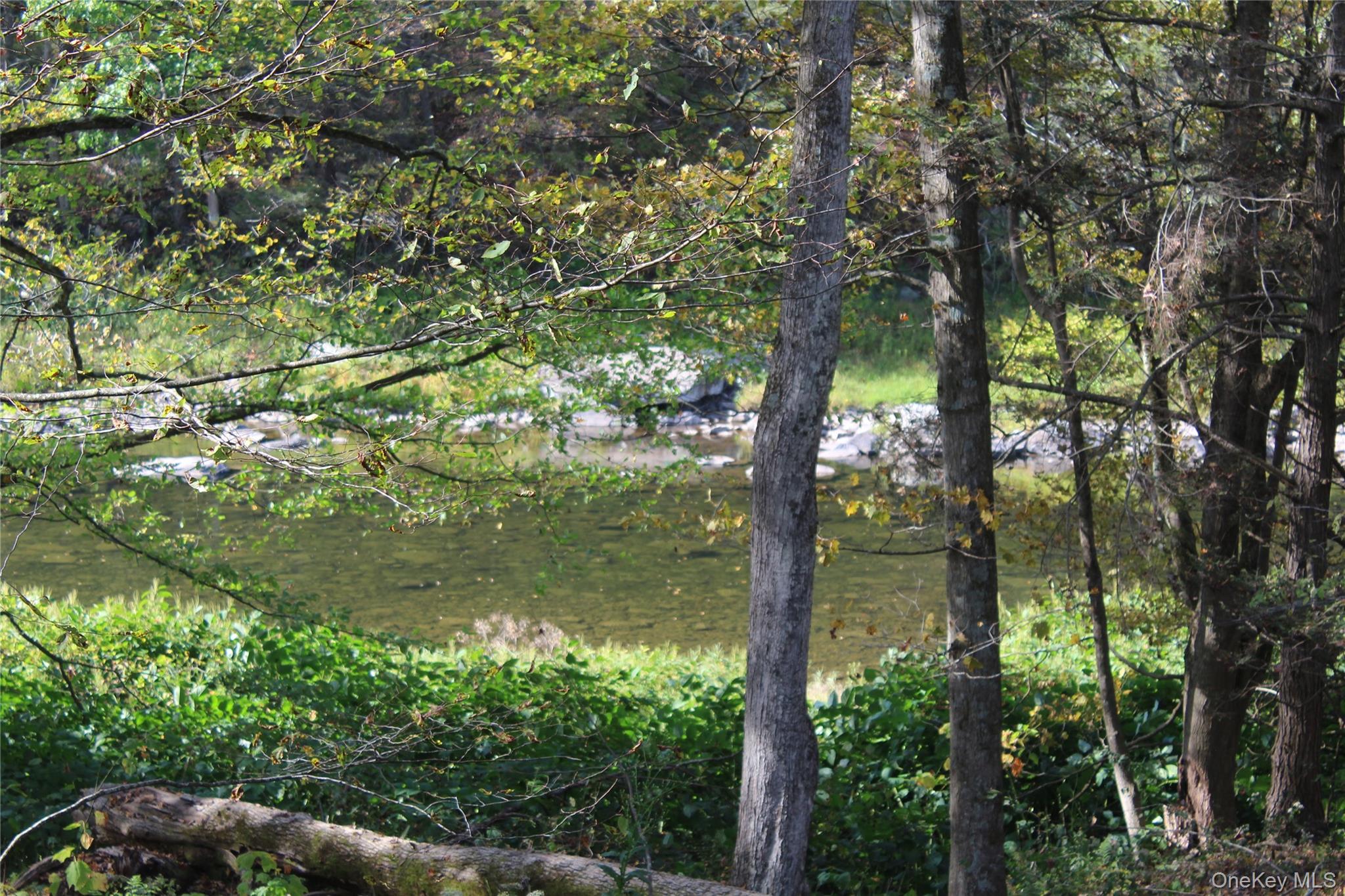 #1 photo, Peakville Road, Roscoe , NY 13783