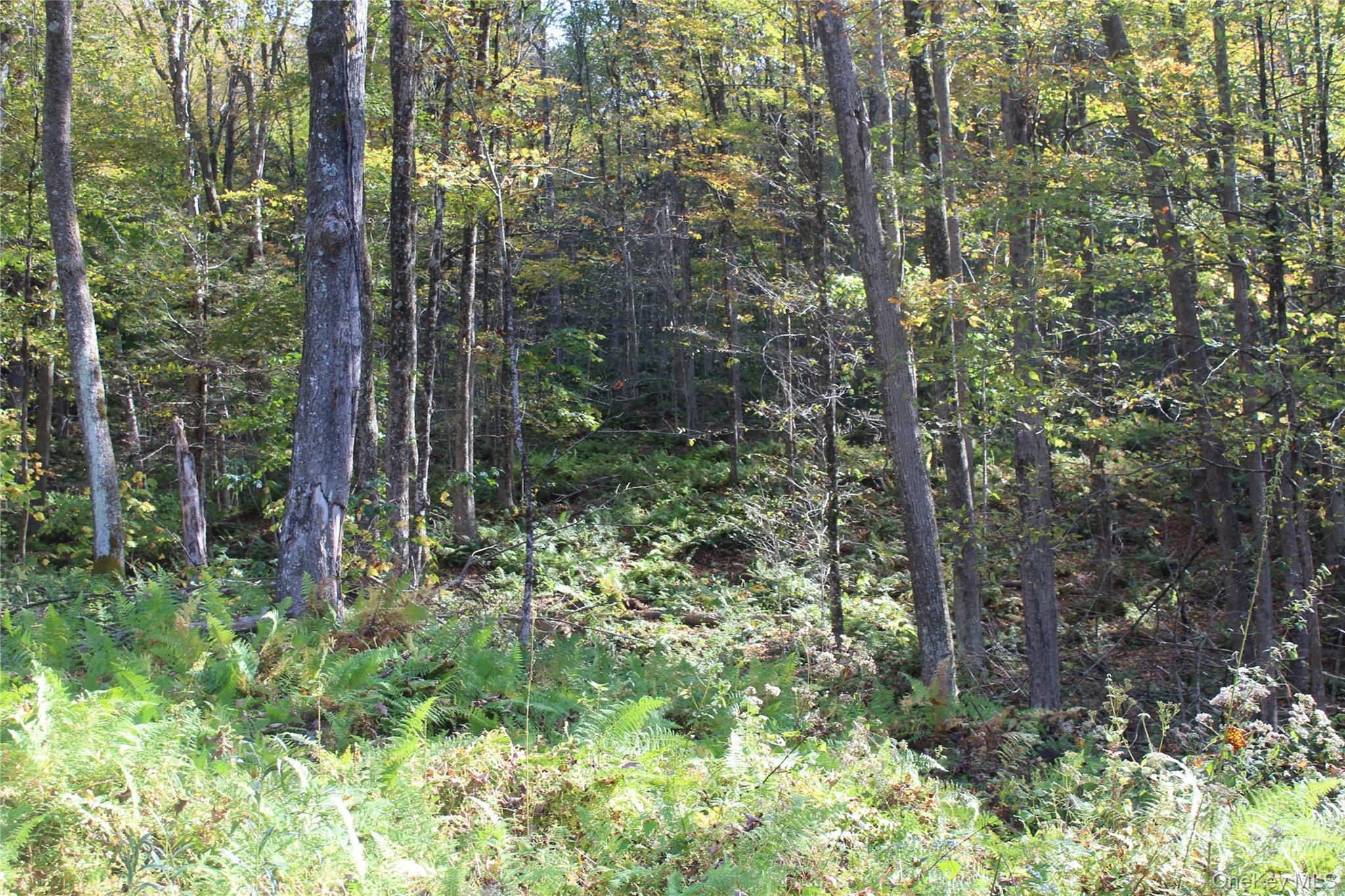 #10 photo, Peakville Road, Roscoe , NY 13783