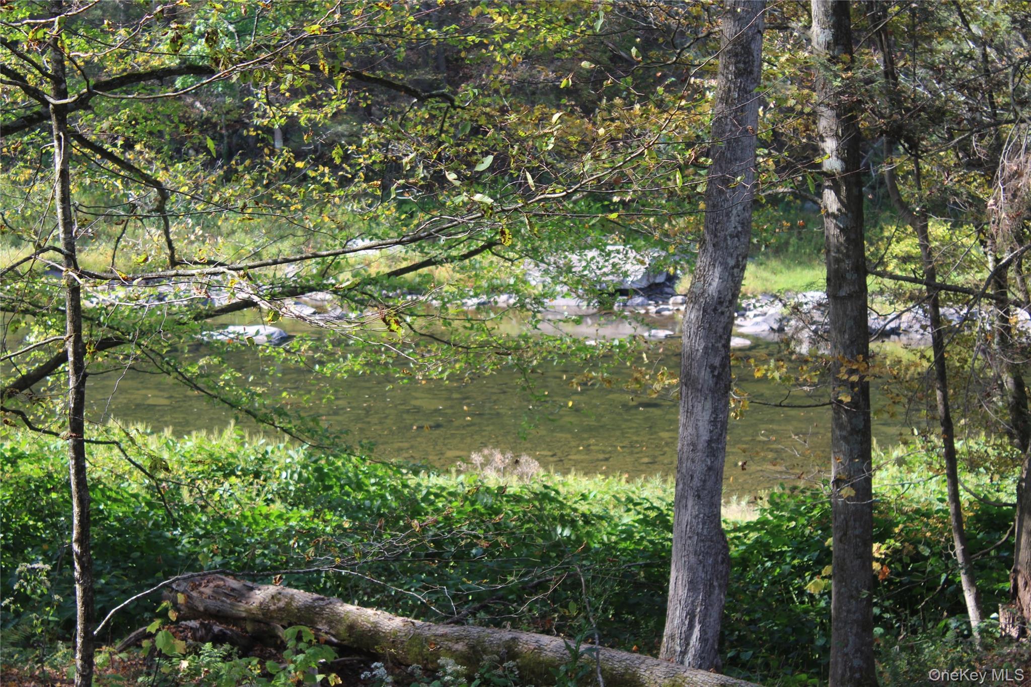 #11 photo, Peakville Road, Roscoe , NY 13783