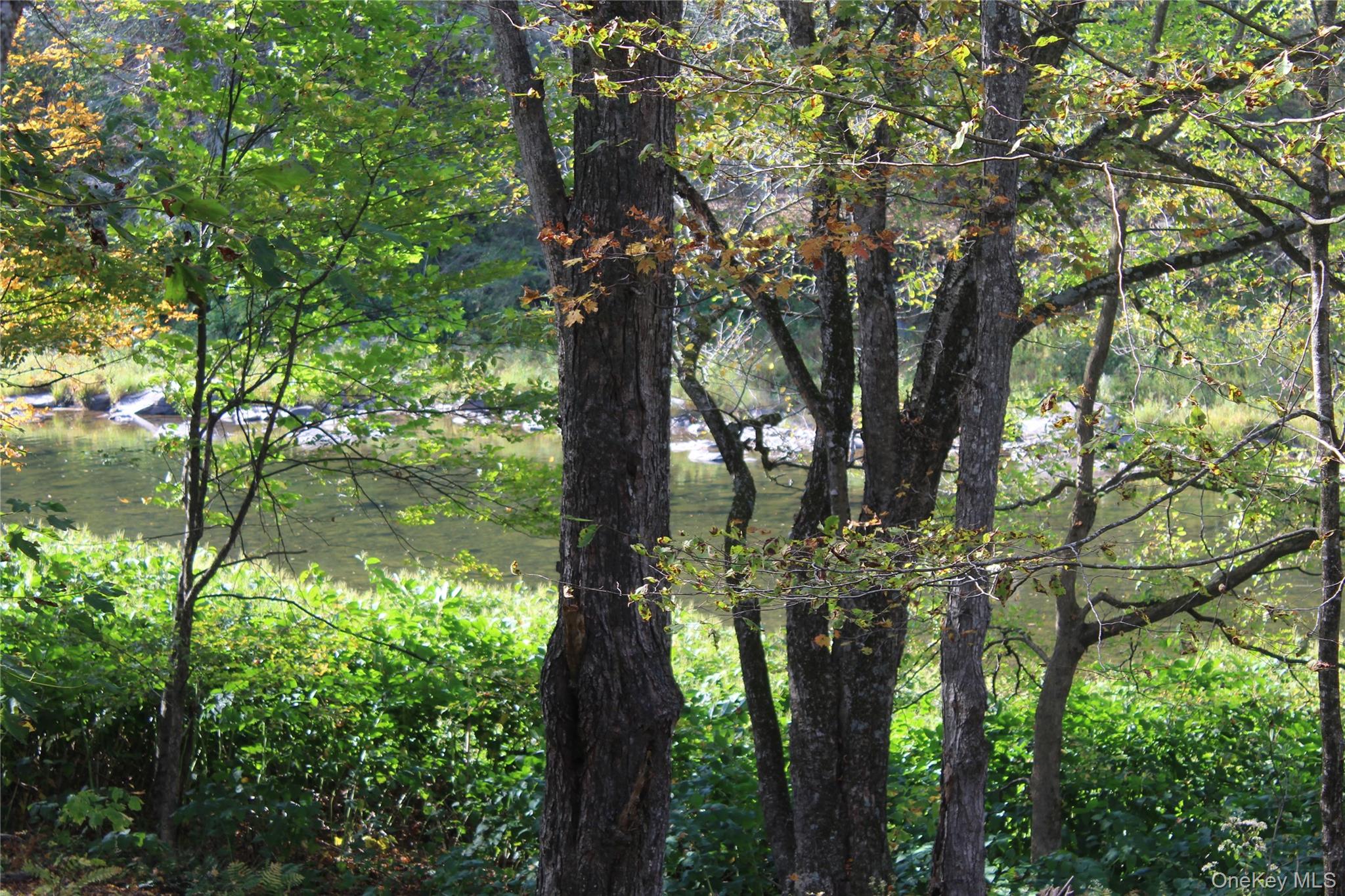 #12 photo, Peakville Road, Roscoe , NY 13783