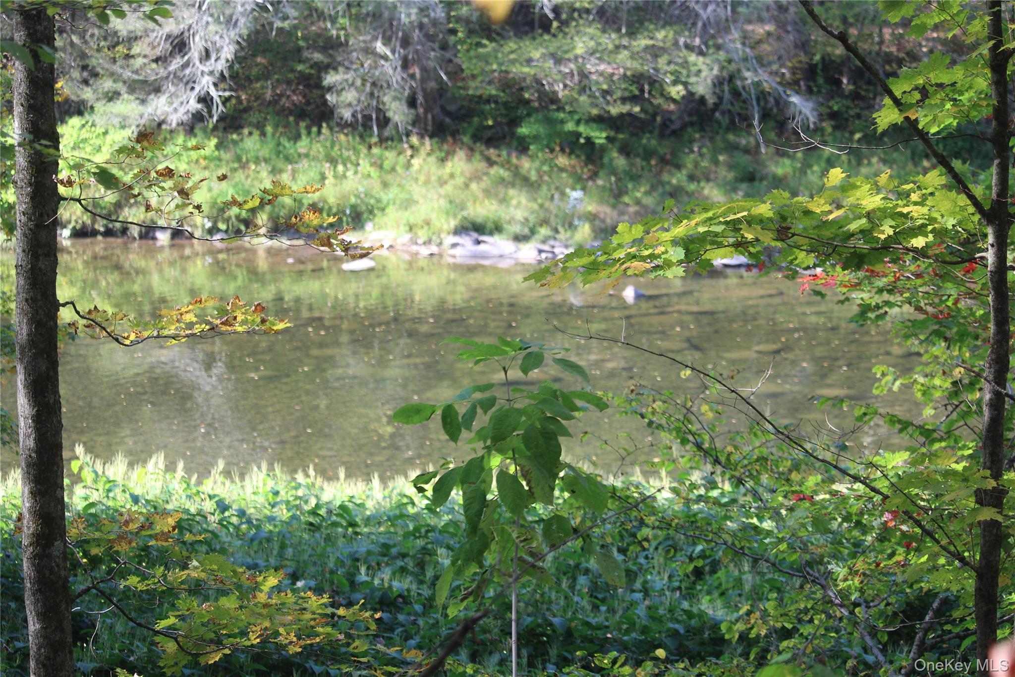 #13 photo, Peakville Road, Roscoe , NY 13783