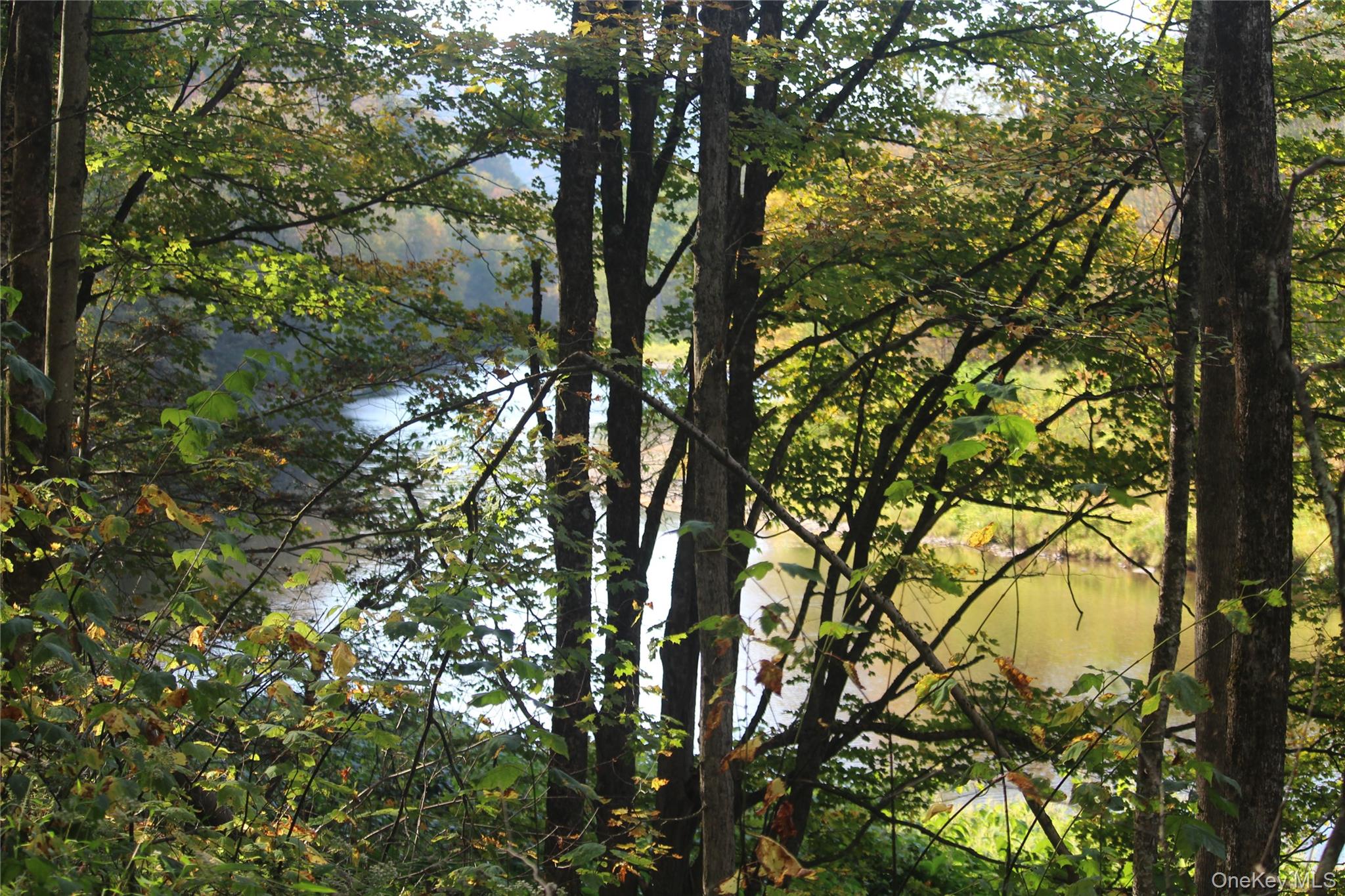 #14 photo, Peakville Road, Roscoe , NY 13783