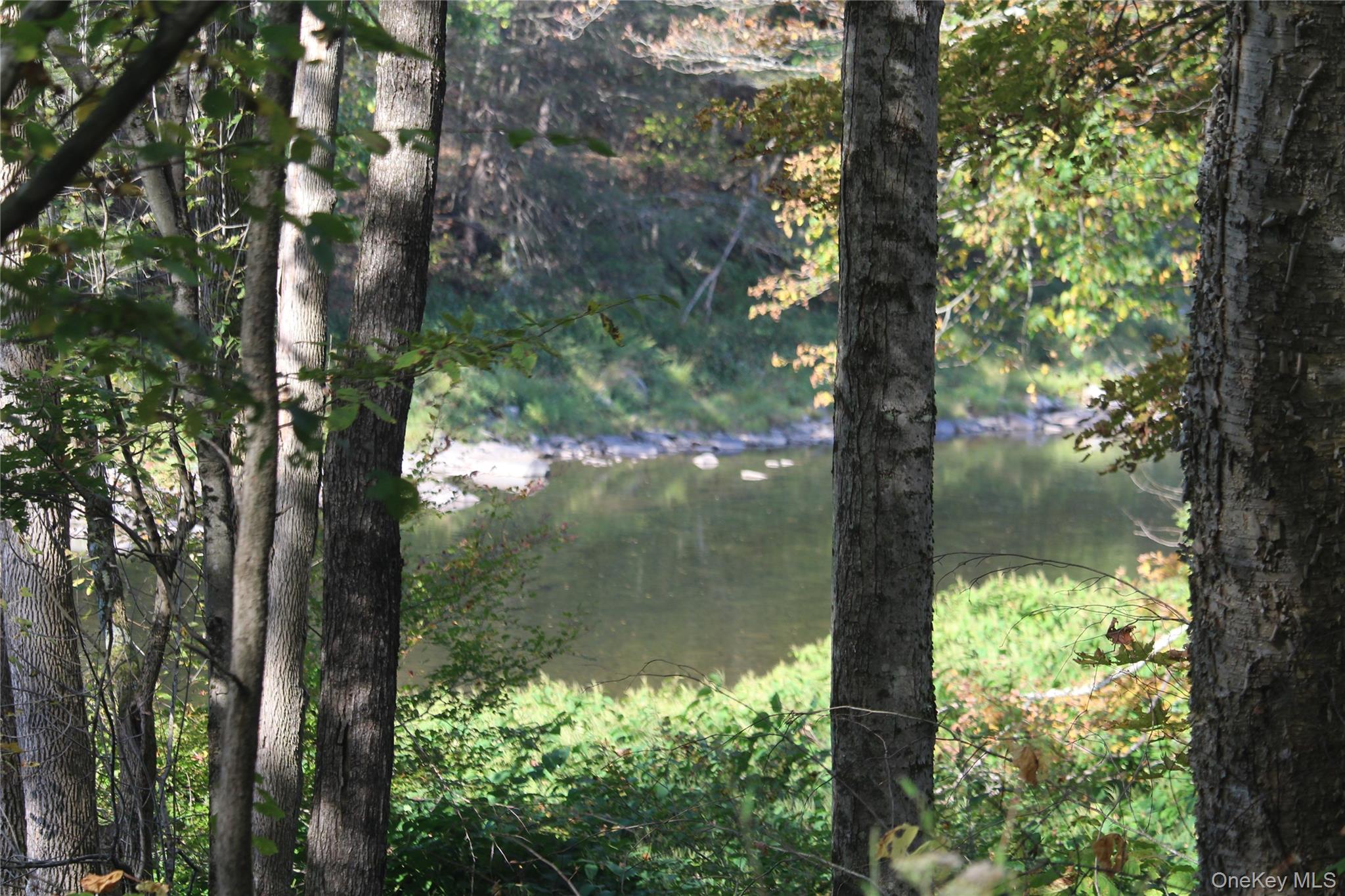 #15 photo, Peakville Road, Roscoe , NY 13783