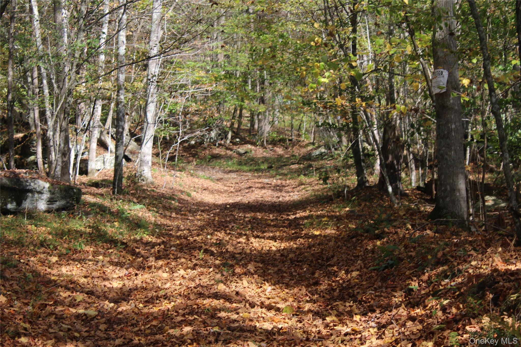 #2 photo, Peakville Road, Roscoe , NY 13783