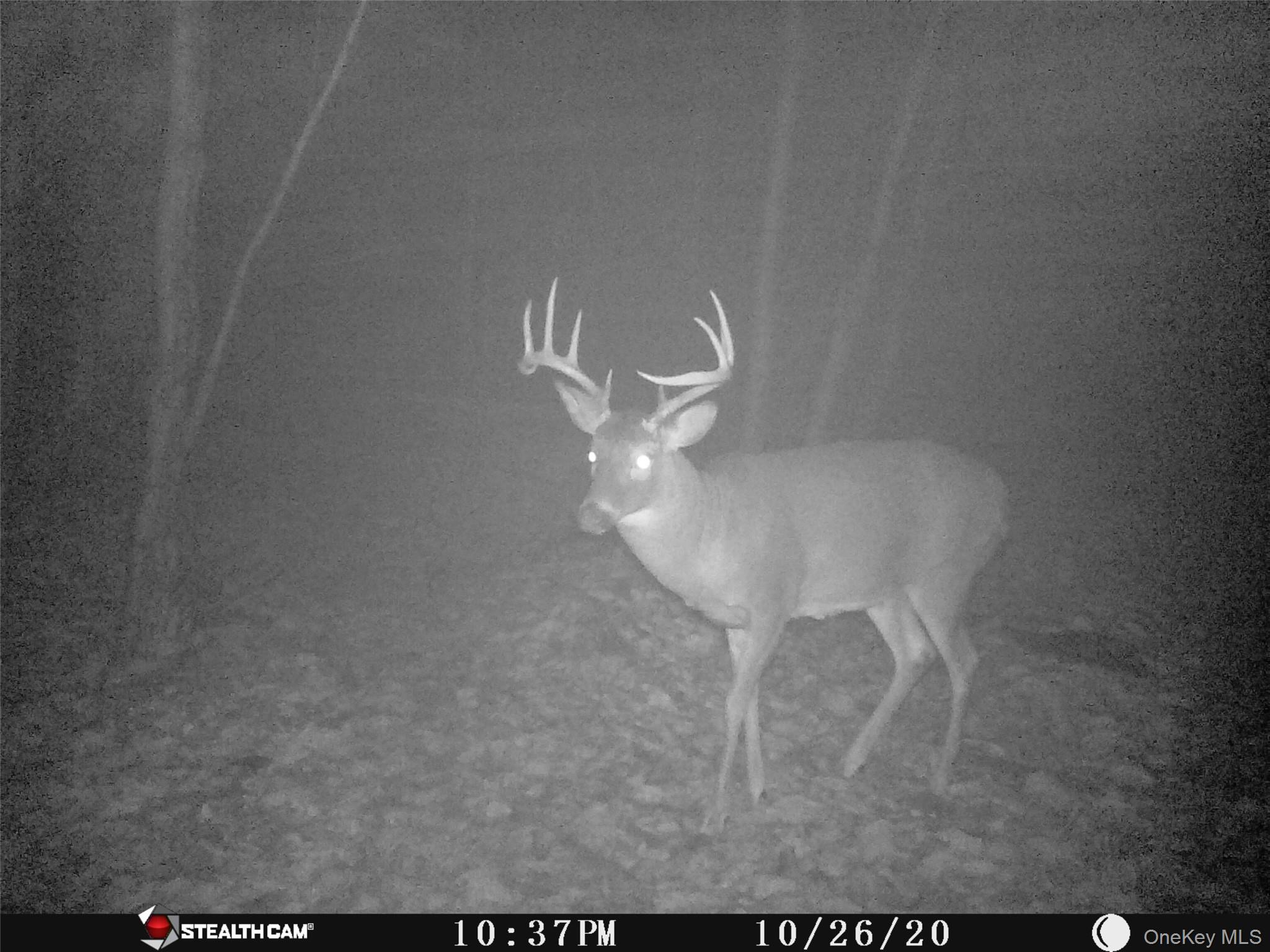 #20 photo, Peakville Road, Roscoe , NY 13783