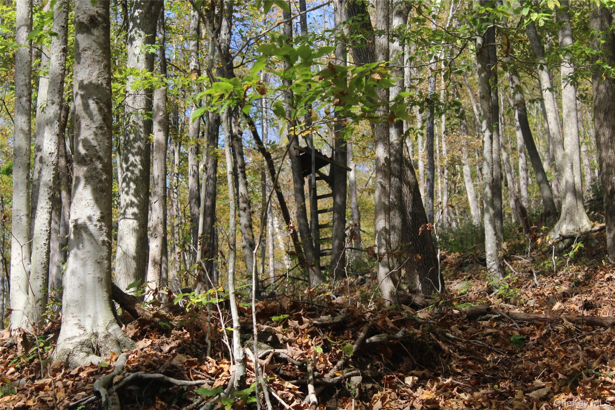 #5 photo, Peakville Road, Roscoe , NY 13783