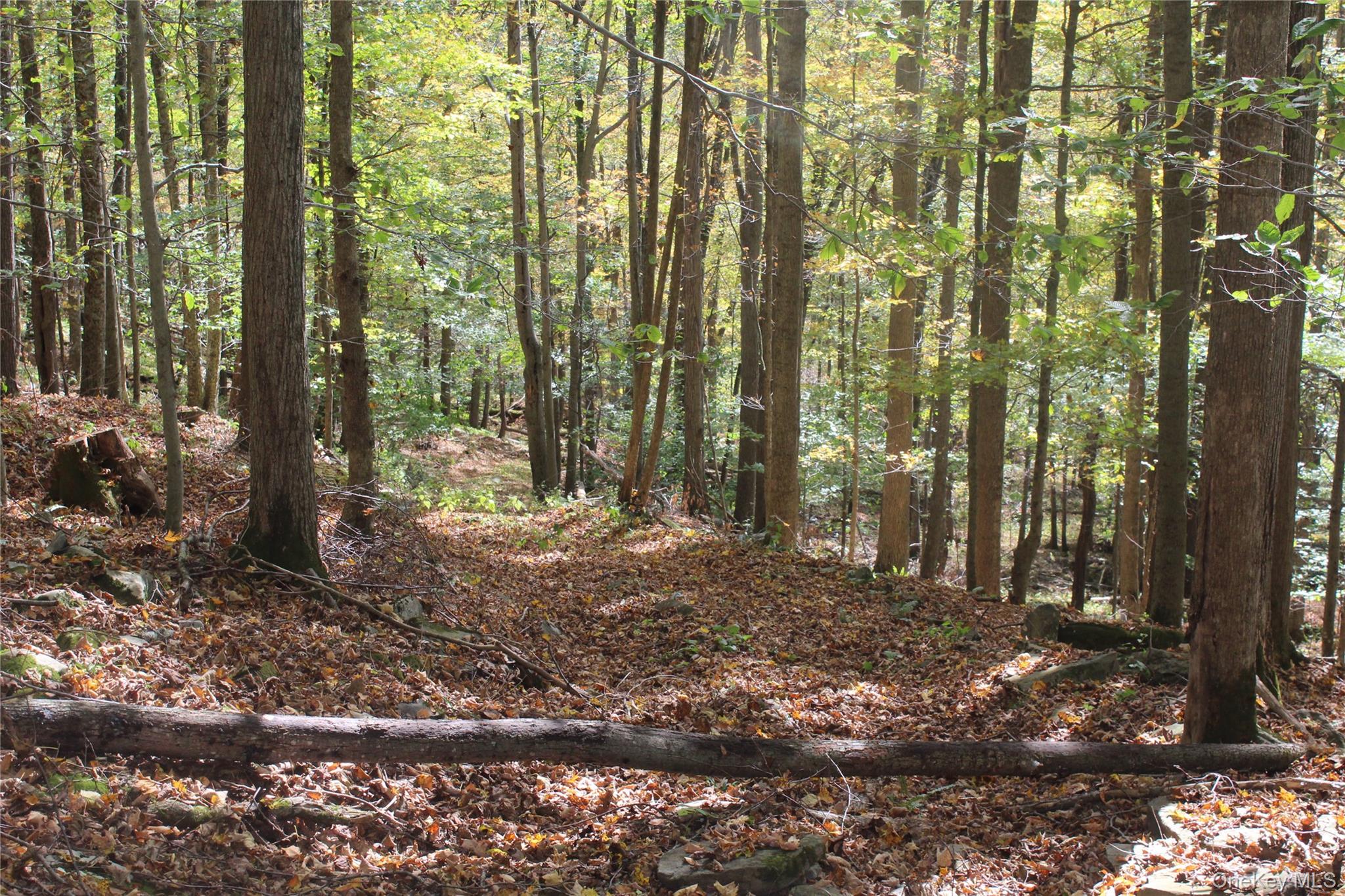 #6 photo, Peakville Road, Roscoe , NY 13783