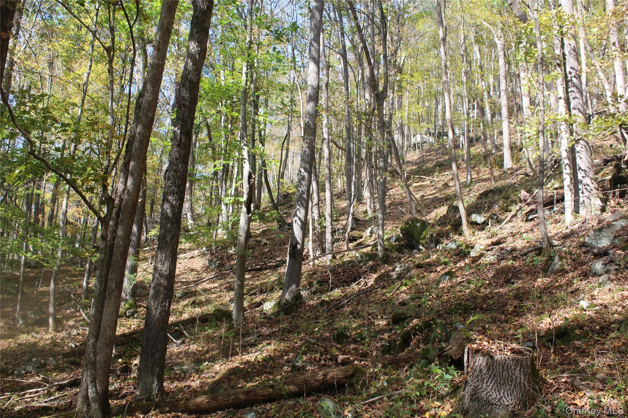 #7 photo, Peakville Road, Roscoe , NY 13783