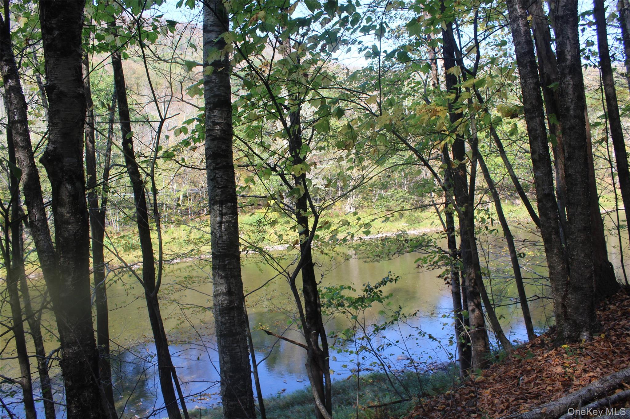 #8 photo, Peakville Road, Roscoe , NY 13783