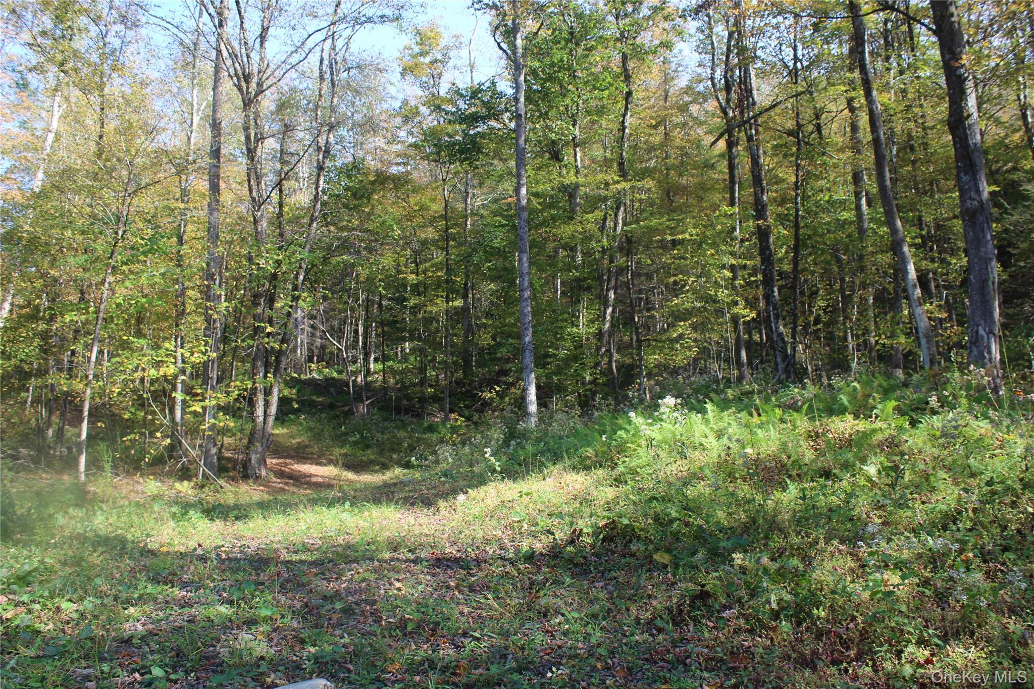 #9 photo, Peakville Road, Roscoe , NY 13783