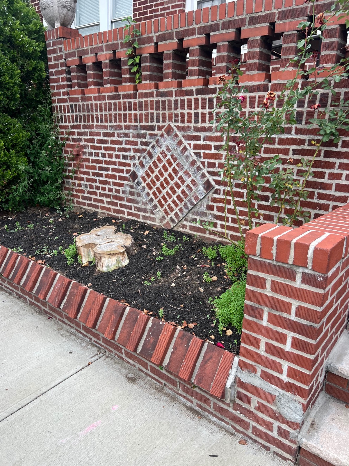 #3 photo, 863 East 49th Street, East Flatbush , NY 11203