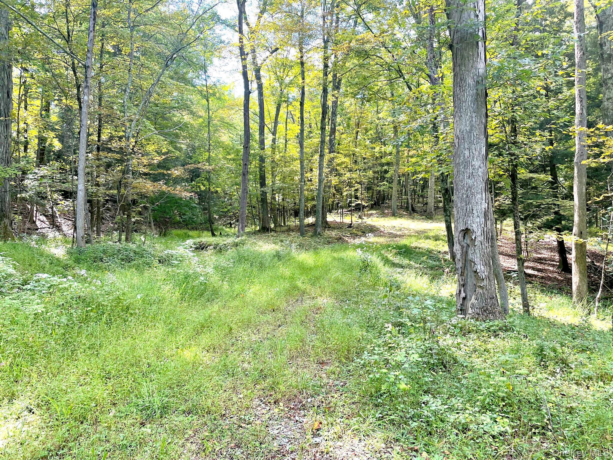 #10 photo, 65 Patricia Lane, Clinton Corners , NY 12514