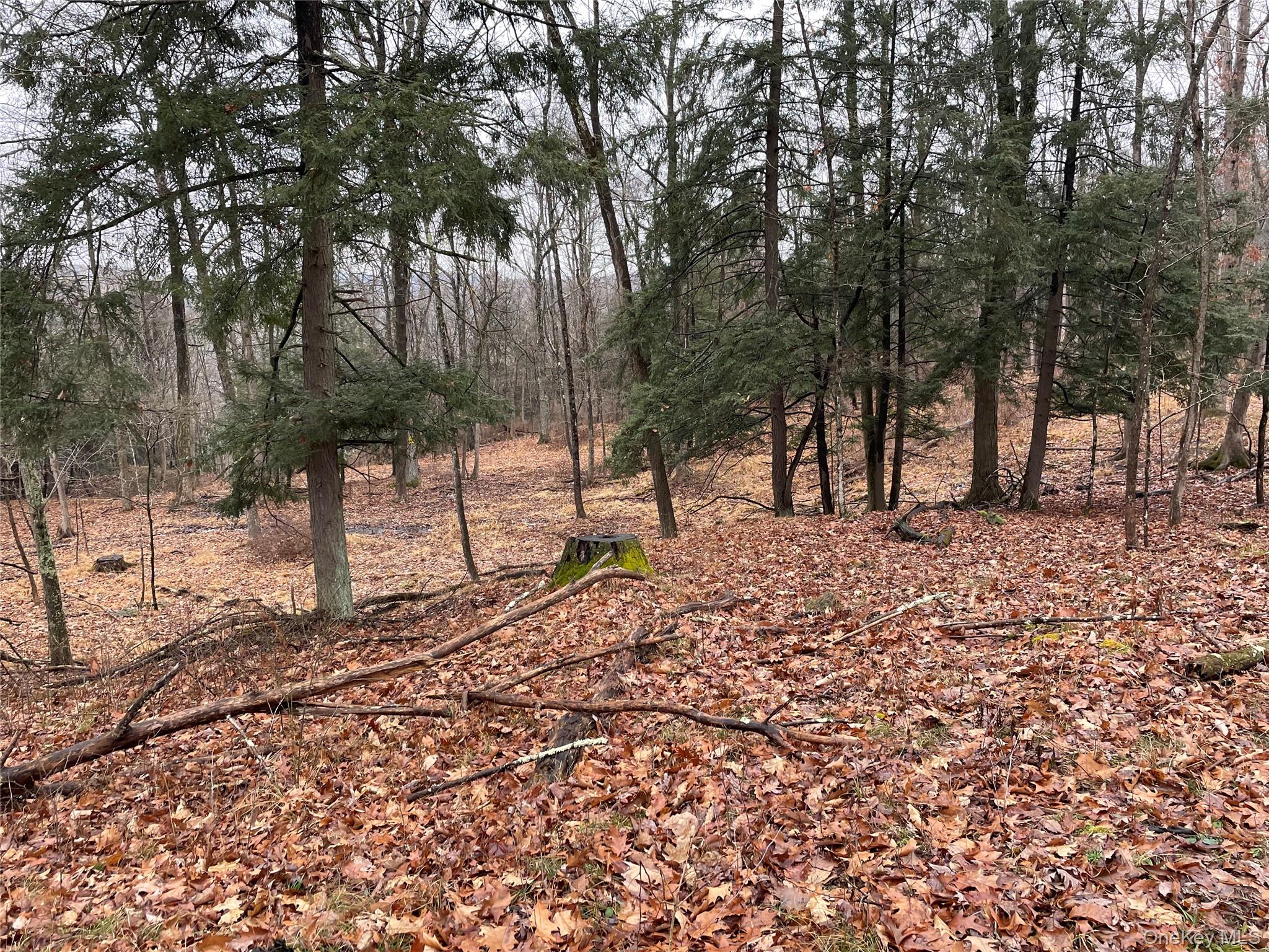 #12 photo, 65 Patricia Lane, Clinton Corners , NY 12514