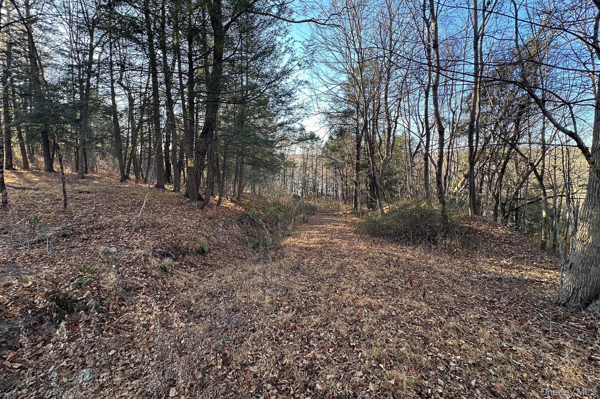 #13 photo, 65 Patricia Lane, Clinton Corners , NY 12514