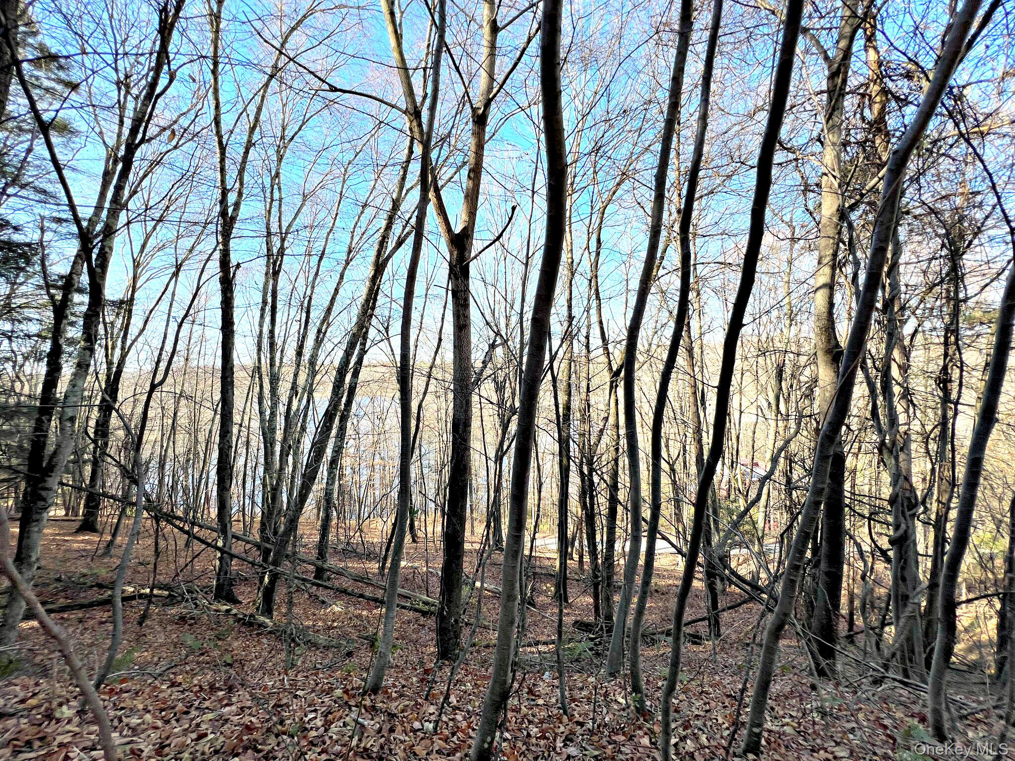 #14 photo, 65 Patricia Lane, Clinton Corners , NY 12514