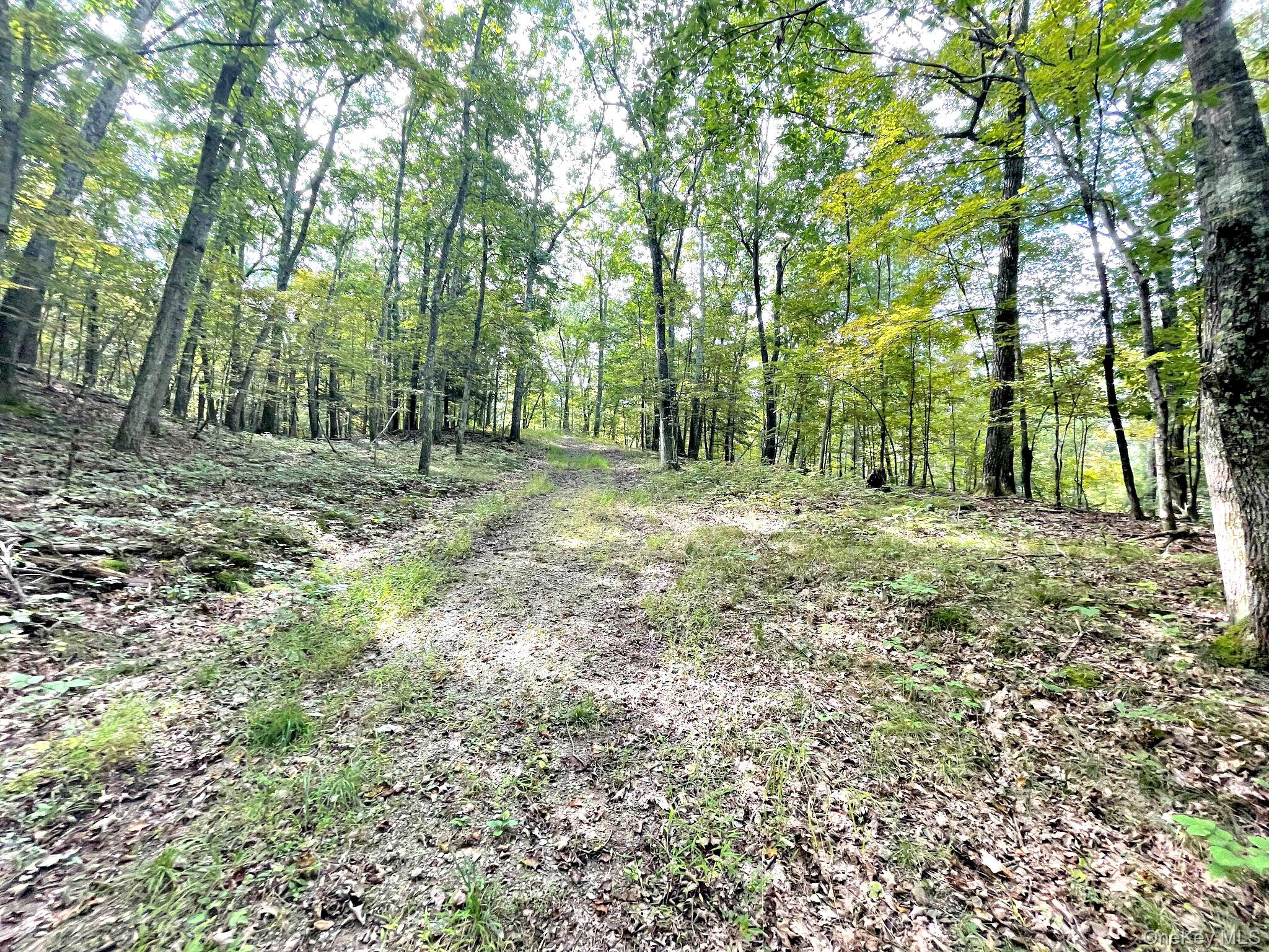 #16 photo, 65 Patricia Lane, Clinton Corners , NY 12514