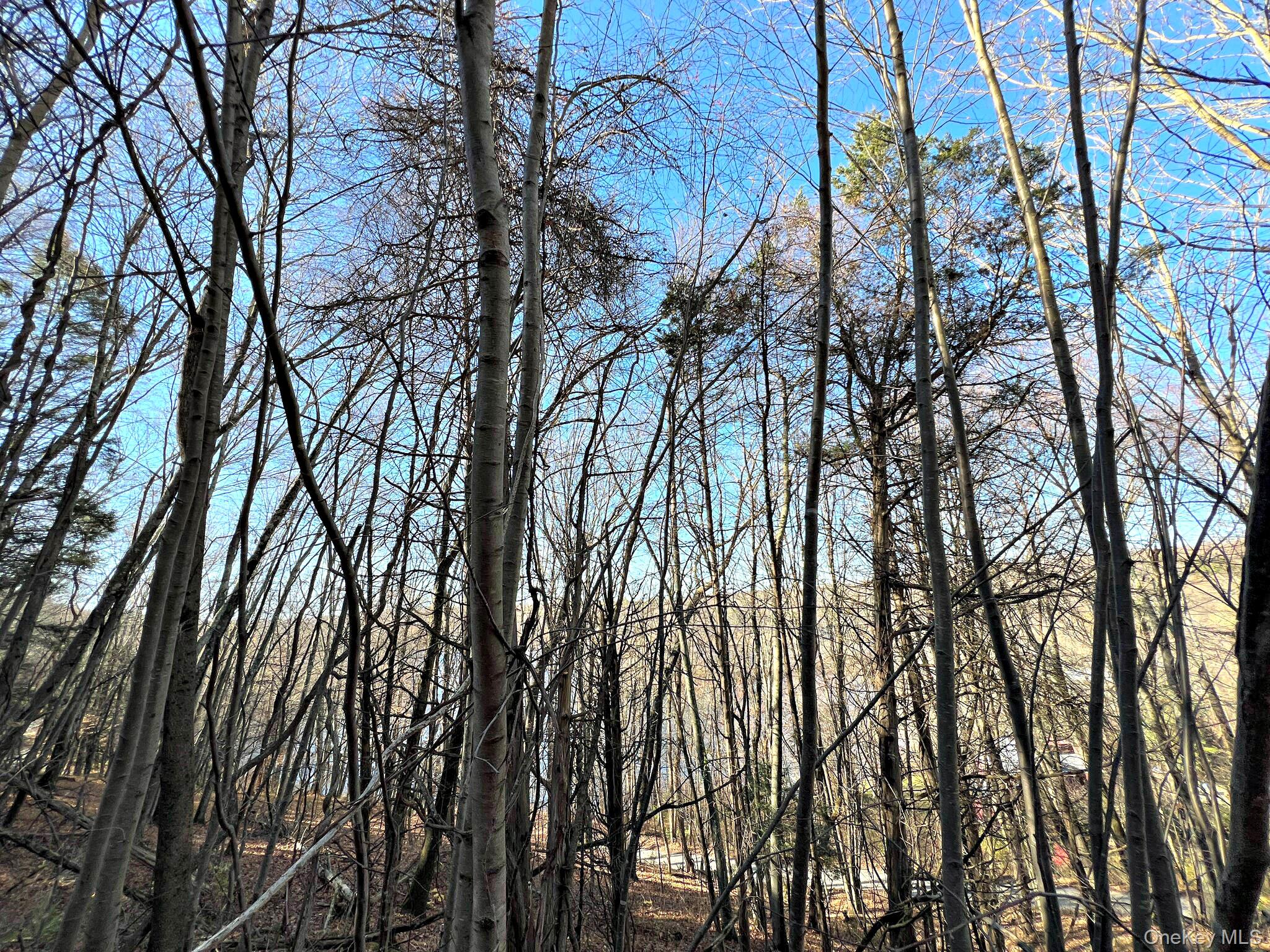 #17 photo, 65 Patricia Lane, Clinton Corners , NY 12514