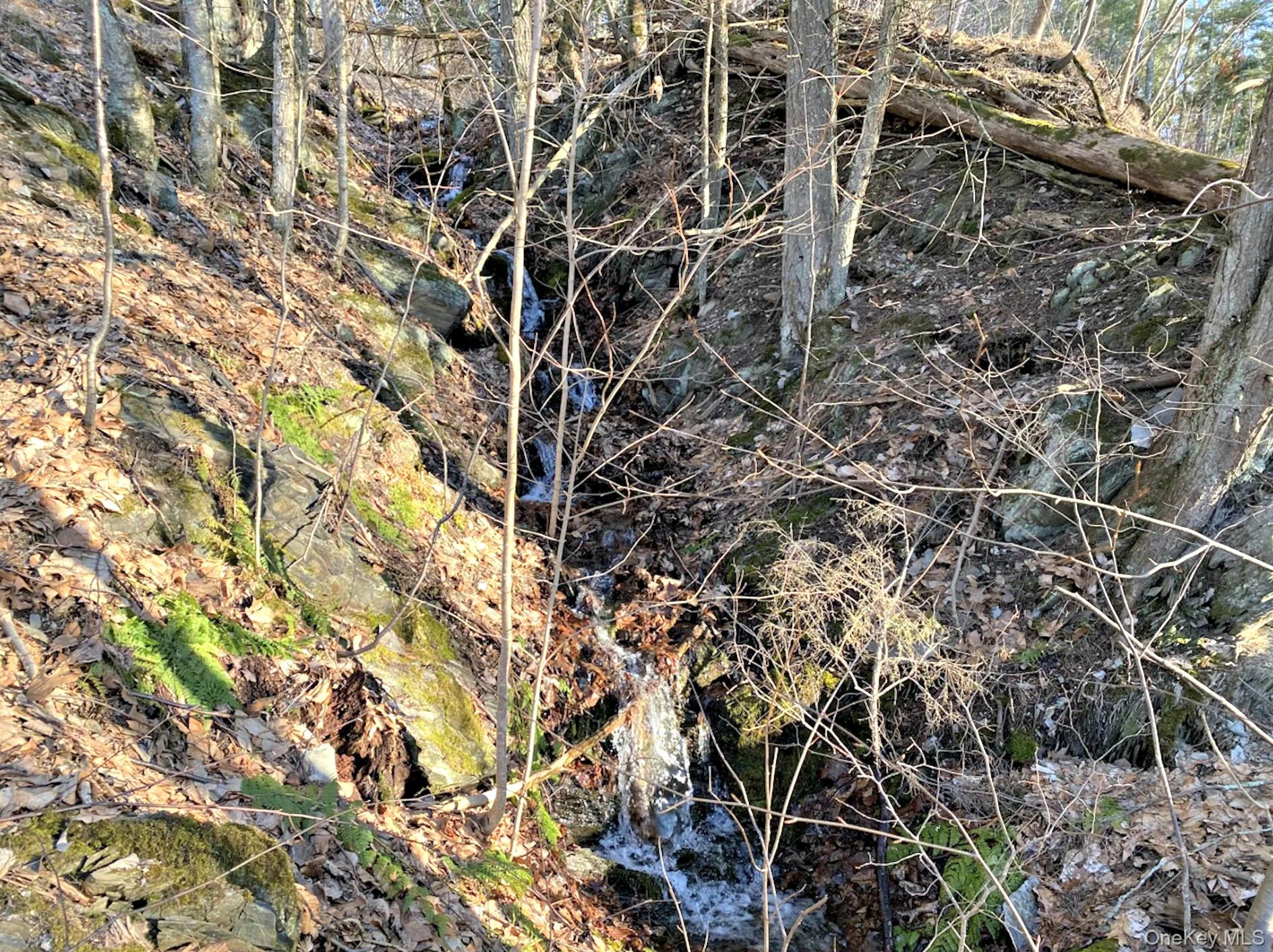 #18 photo, 65 Patricia Lane, Clinton Corners , NY 12514