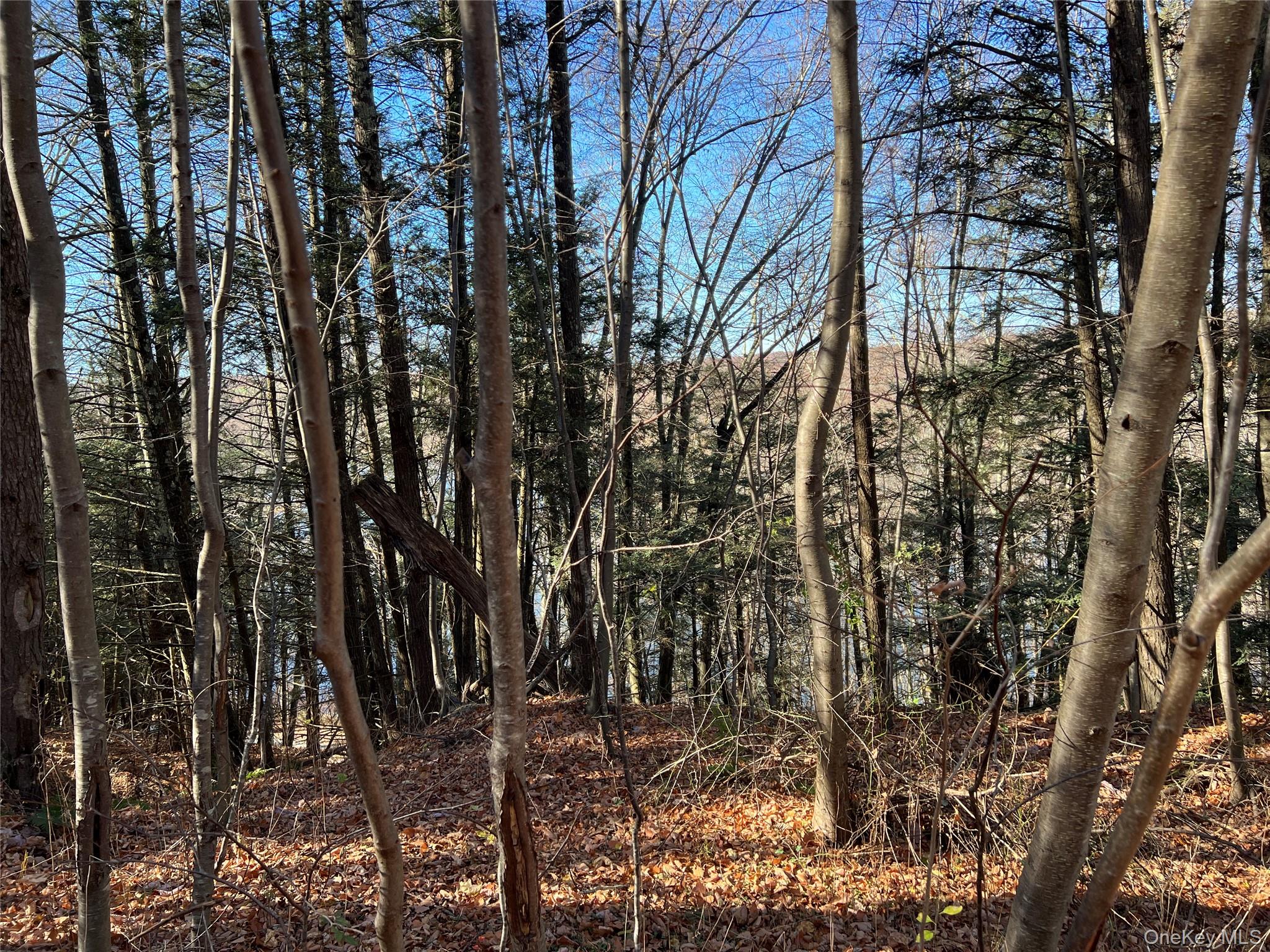 #19 photo, 65 Patricia Lane, Clinton Corners , NY 12514