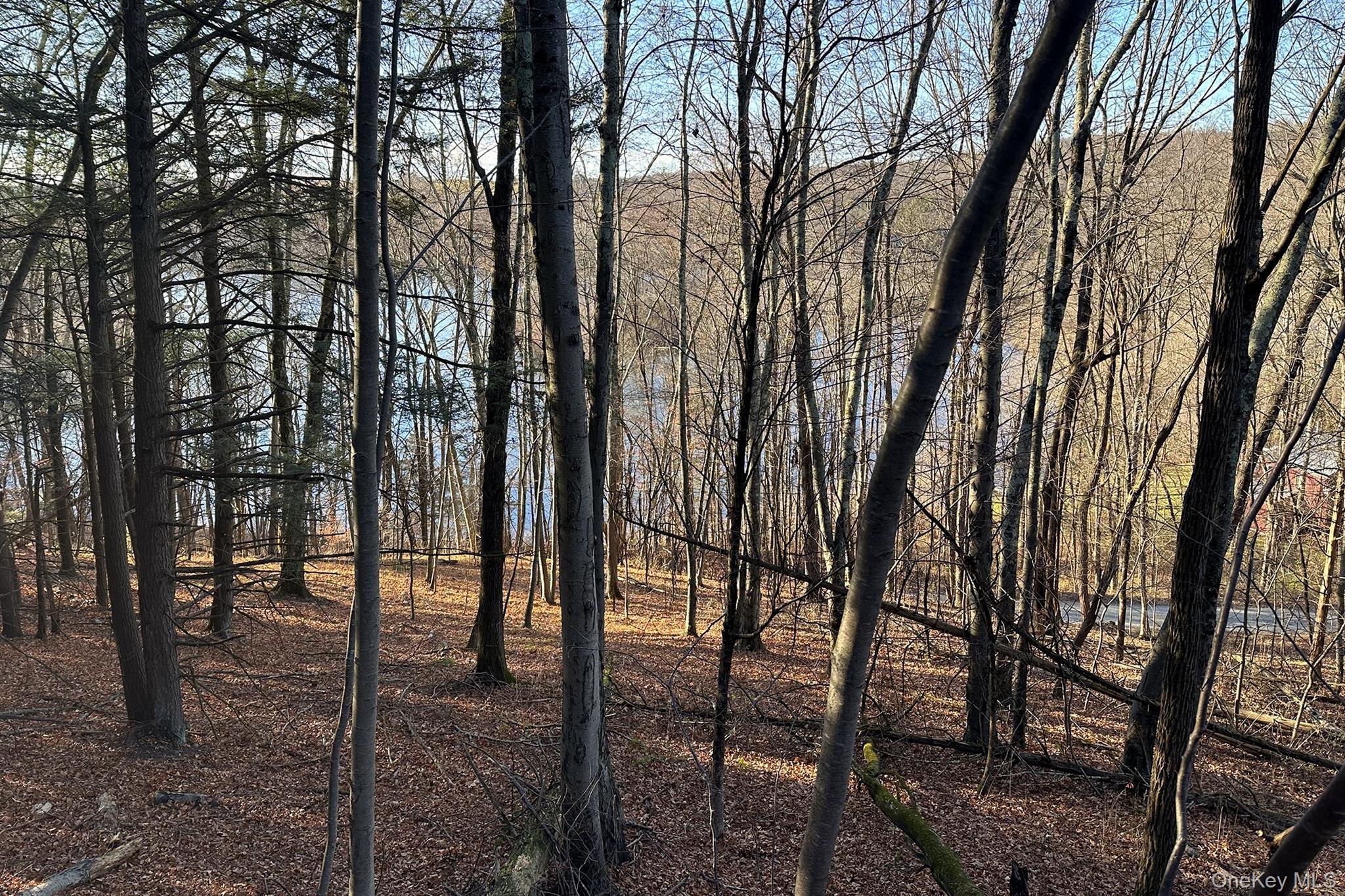 #2 photo, 65 Patricia Lane, Clinton Corners , NY 12514