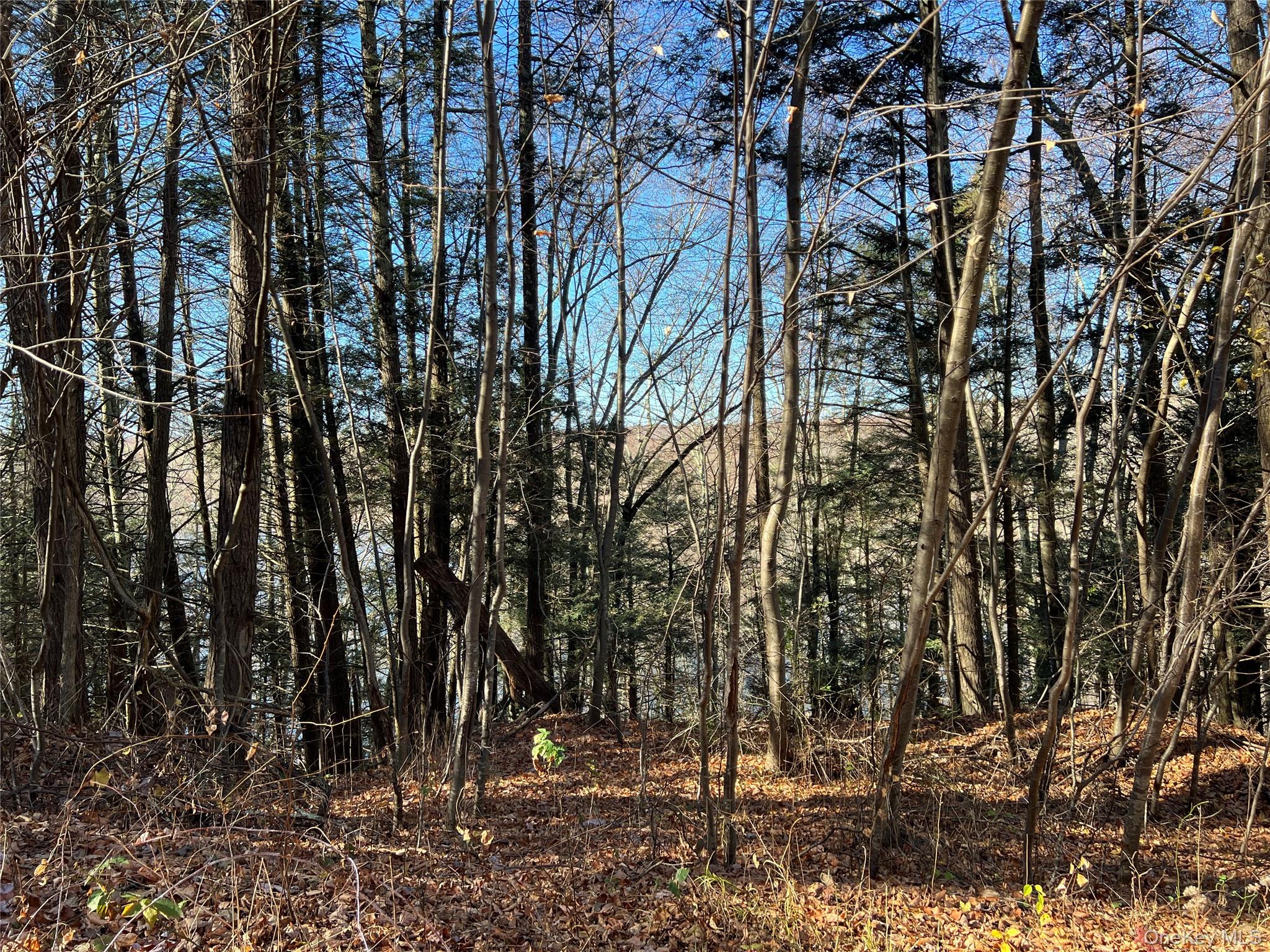 #20 photo, 65 Patricia Lane, Clinton Corners , NY 12514