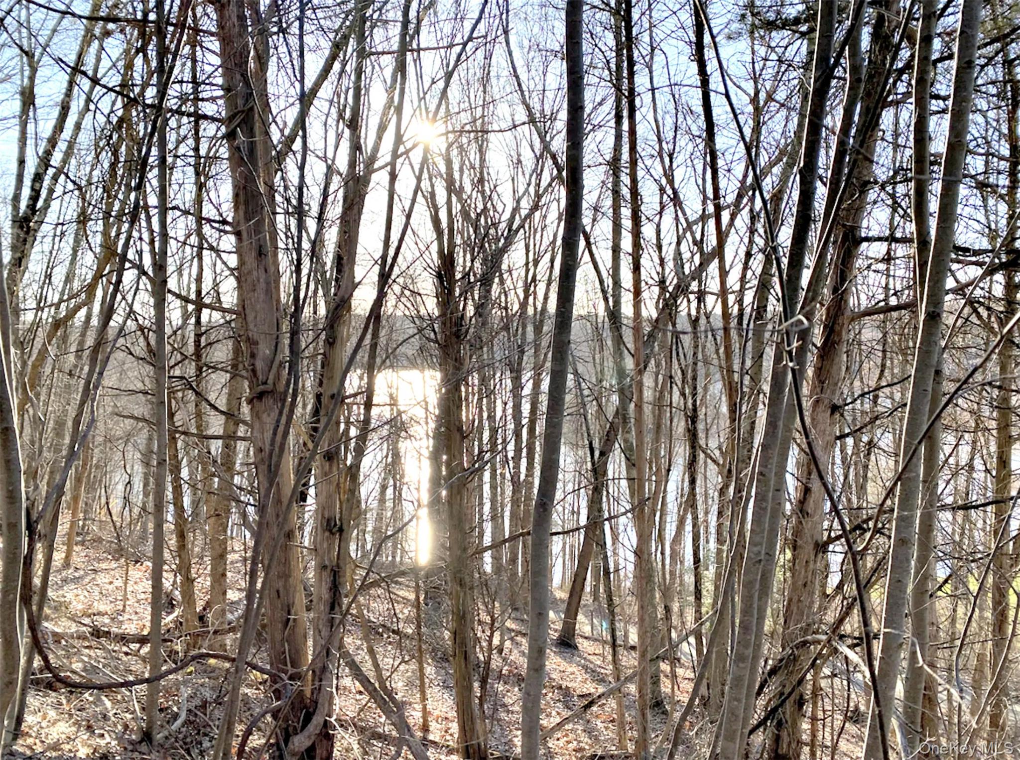 #7 photo, 65 Patricia Lane, Clinton Corners , NY 12514