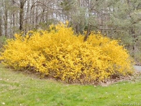 #14 photo, 9 Watch Hill Road, New Paltz , NY 12561