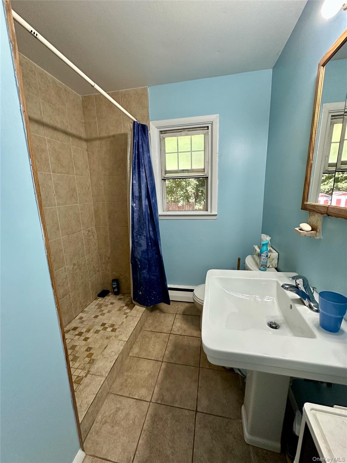 #9 photo, 18 Cambridge Drive, Red Hook , NY 12571