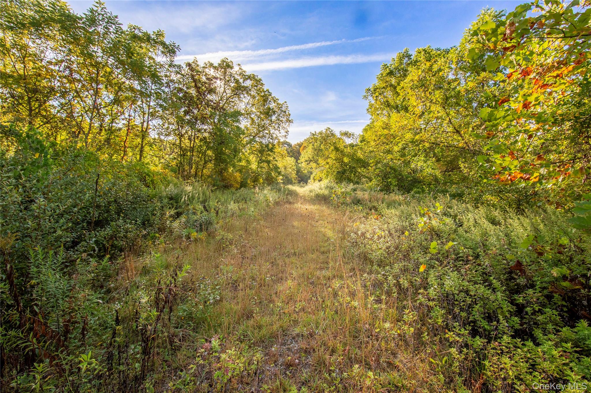 #8 photo, Lot 18 Cox Road, Pawling , NY 12564