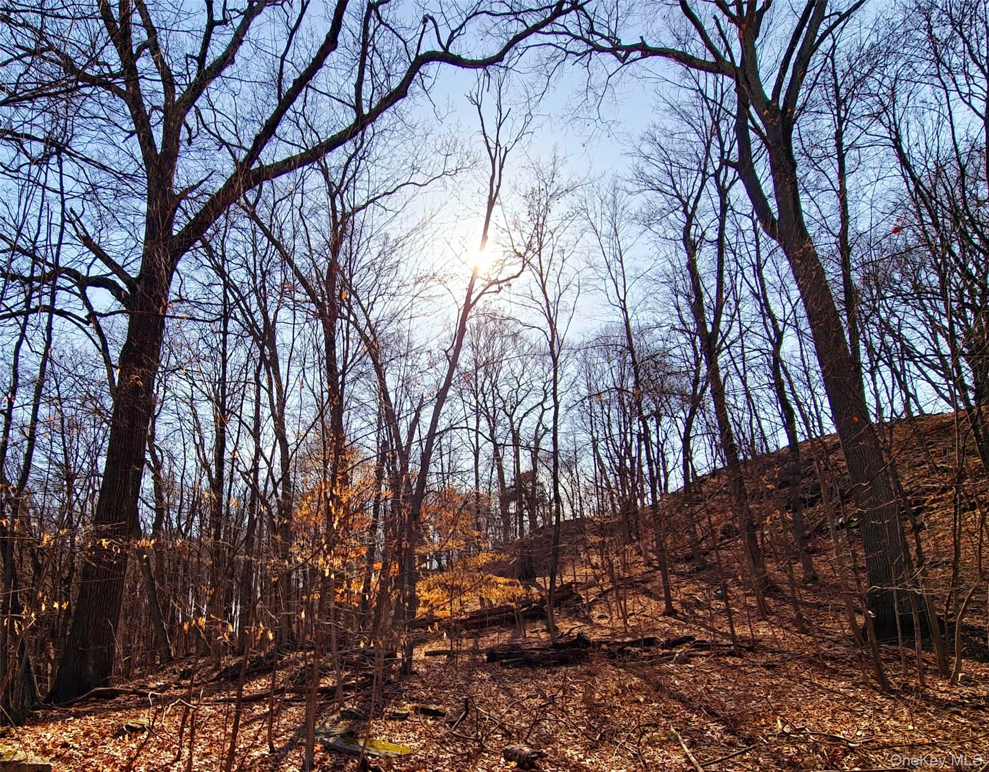 #10 photo, White Street, Highland , NY 12528