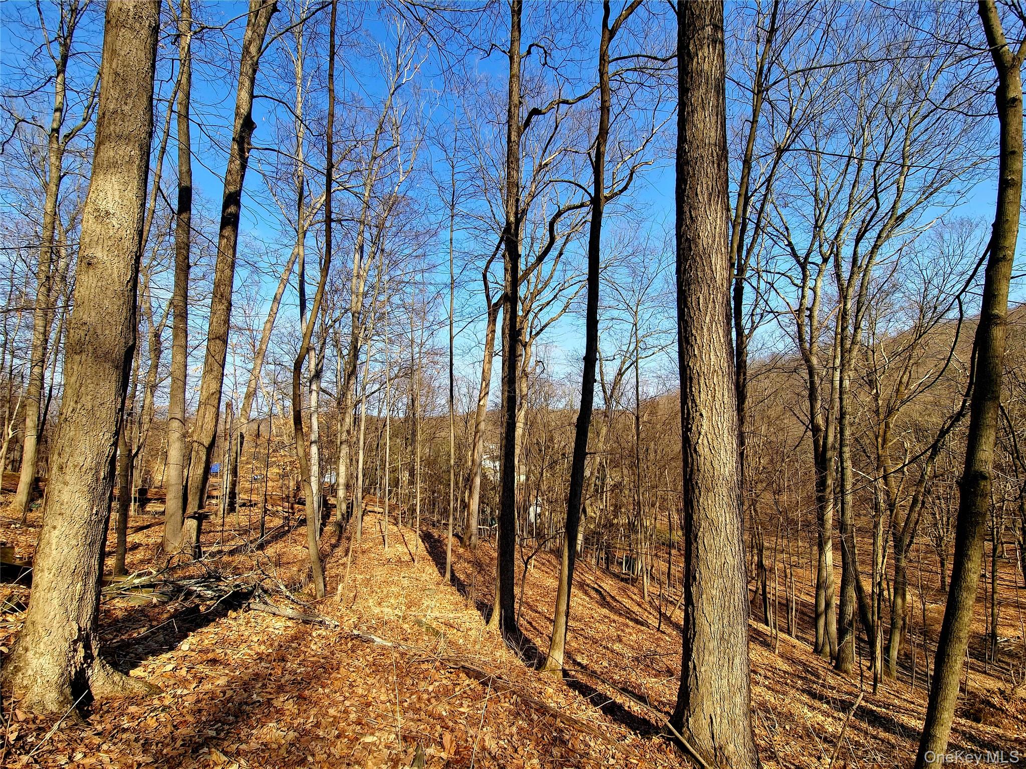 #11 photo, White Street, Highland , NY 12528