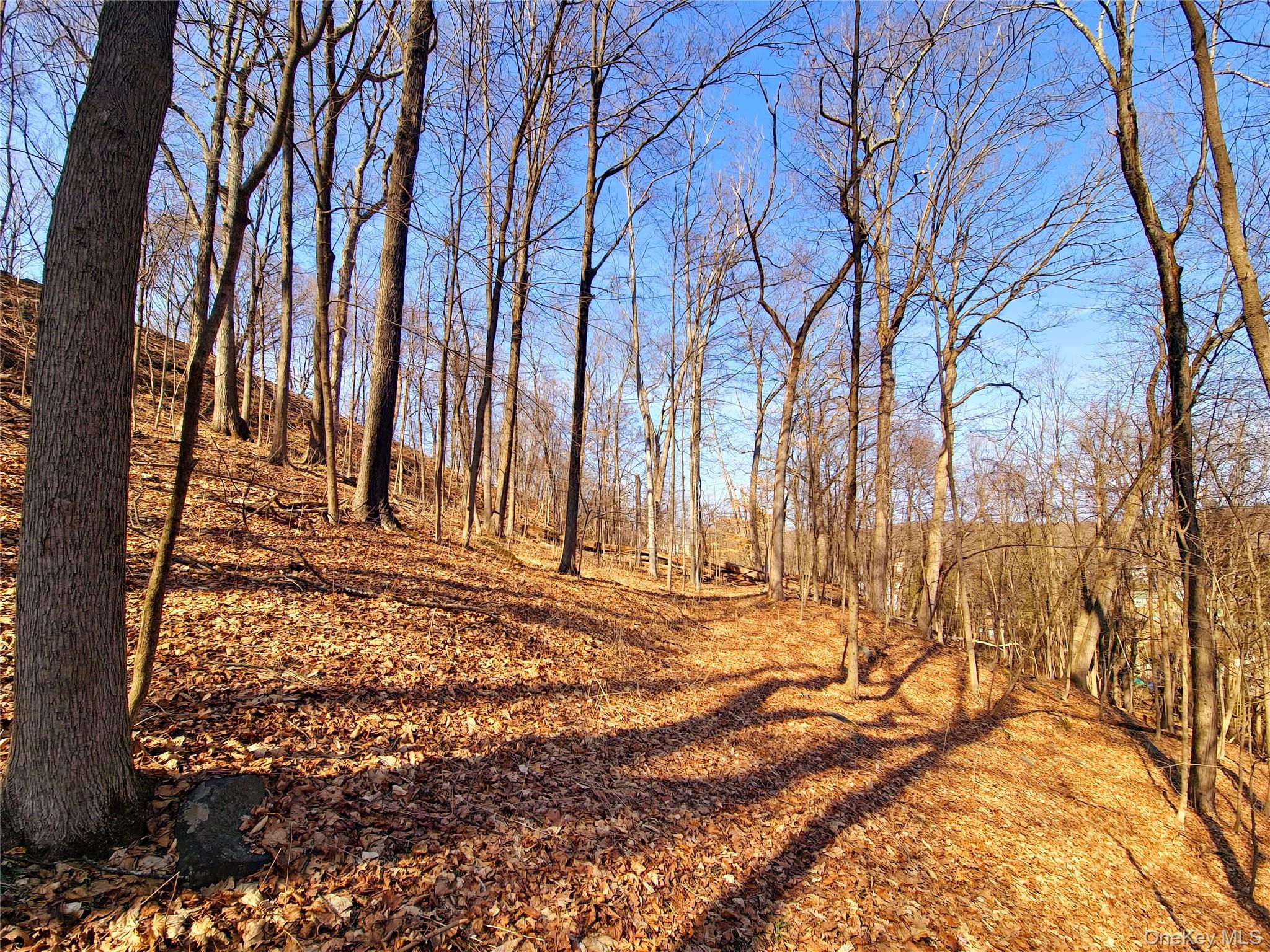 #12 photo, White Street, Highland , NY 12528